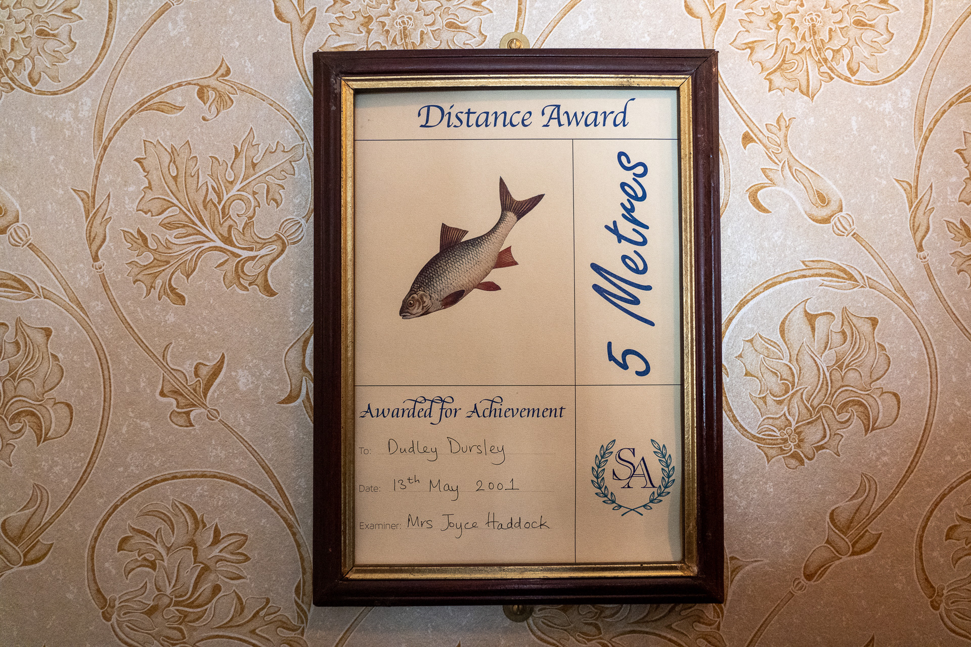 ダドリーが5m泳げたことを称える表彰状