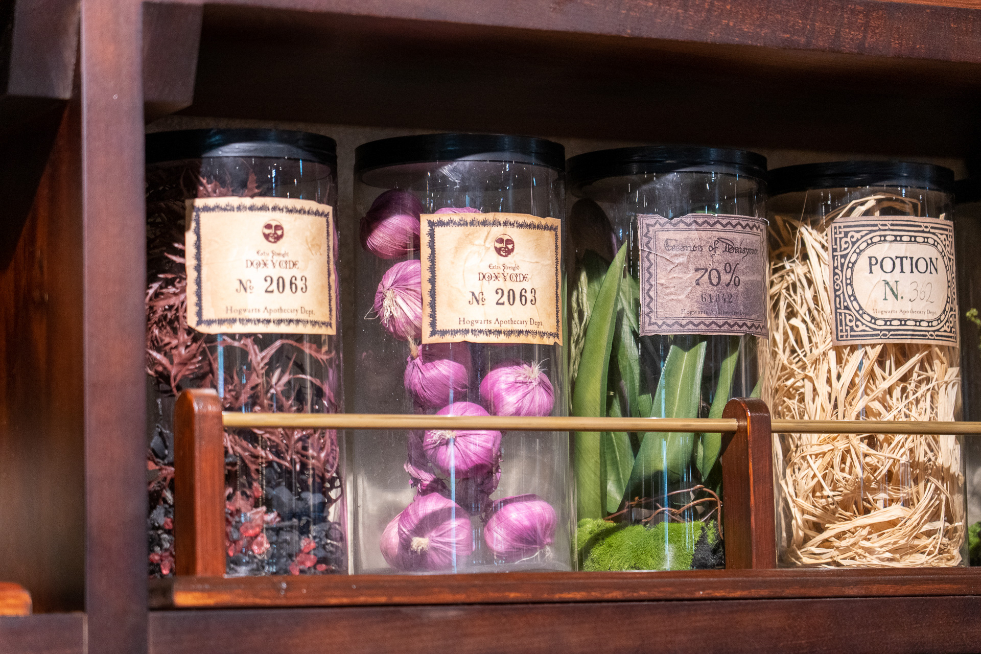 店内にはホグワーツの薬草学で習いそうなさまざまな植物が展示されていて楽しい空間