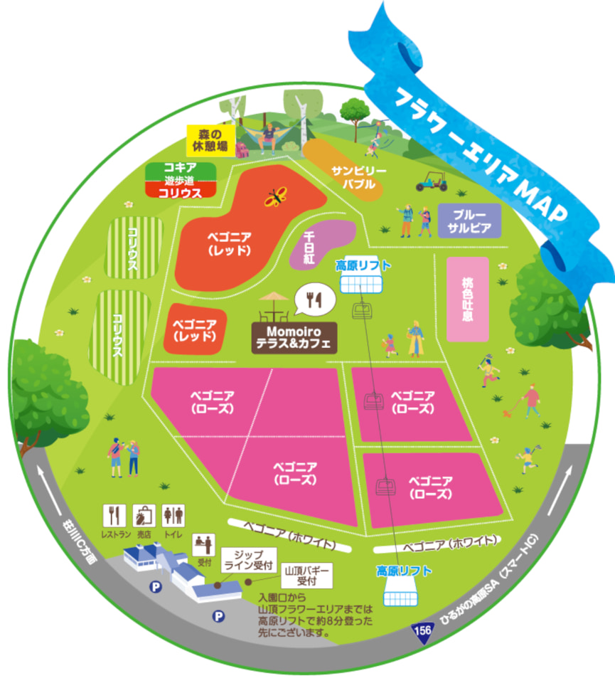 岐阜県「ひるがのピクニックガーデン」。花の絶景と高原アクティビティ楽しめる ジップラインや山頂バギーなど - トラベル Watch