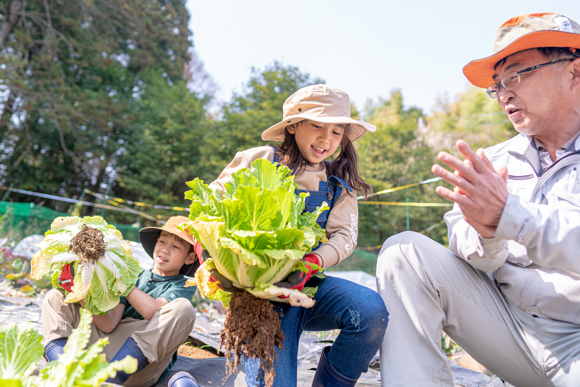 野菜の収穫体験は土日限定