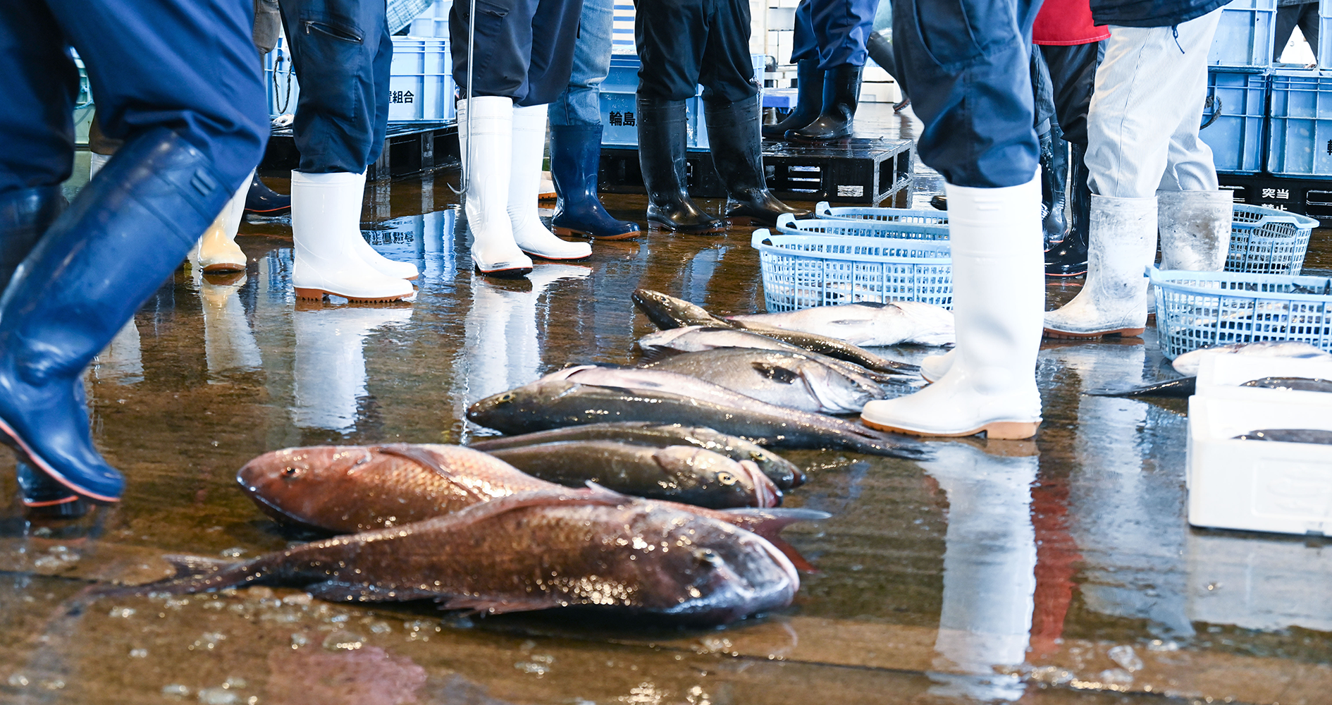 七尾市公設地方卸売市場