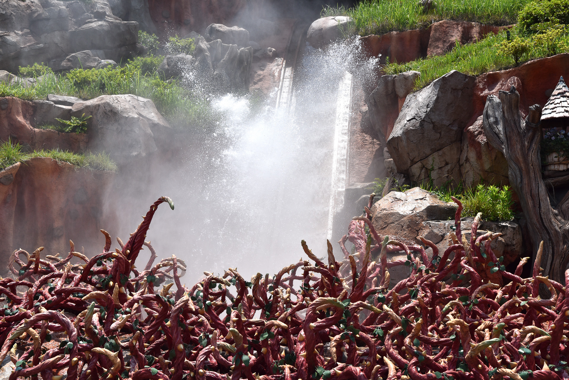 ザバーっと水飛沫がかかり、乗車後は水が滴るほど