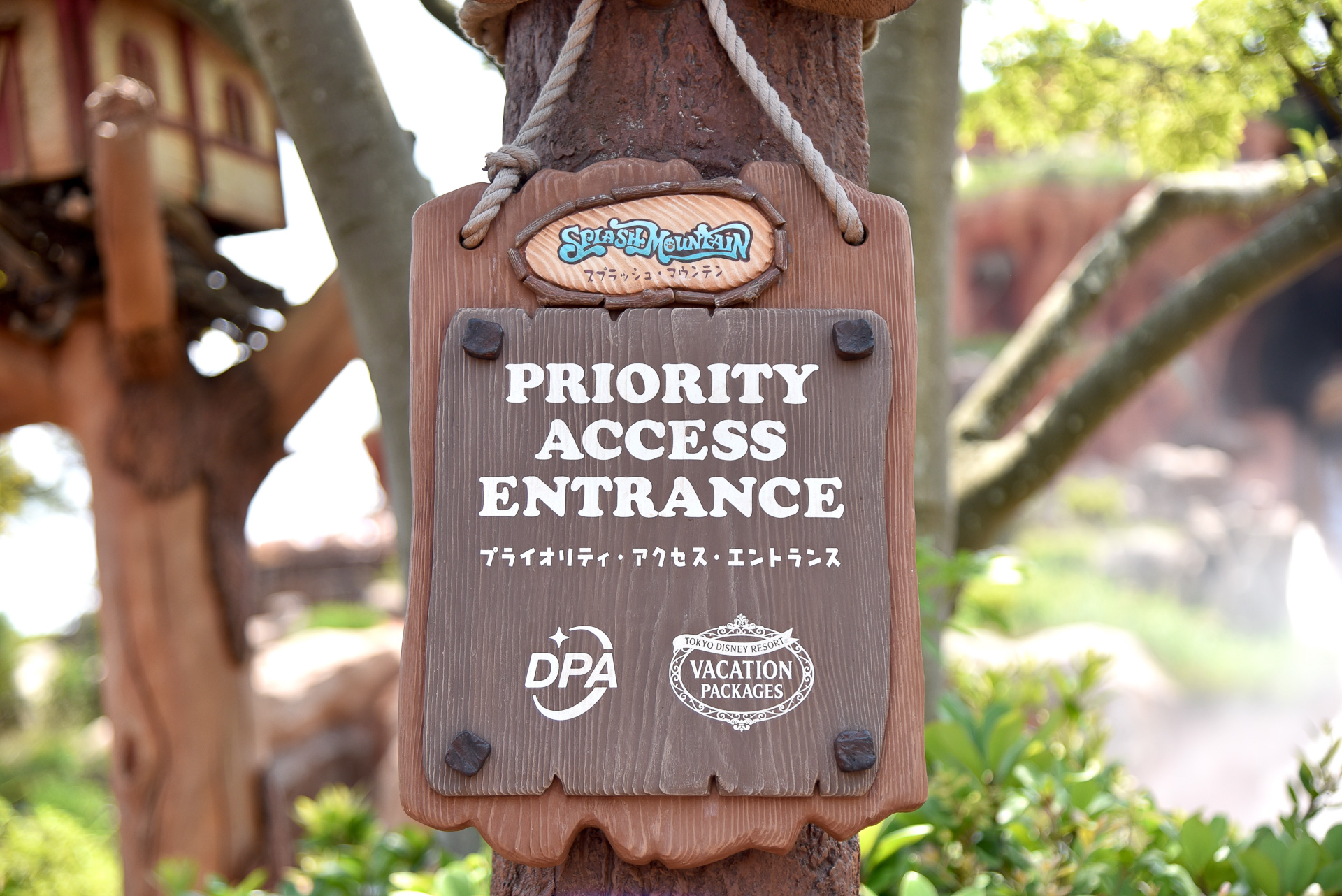 有料の「ディズニー・プレミアアクセス」なら、通常よりも少ない待ち時間に！　ぜひ活用して