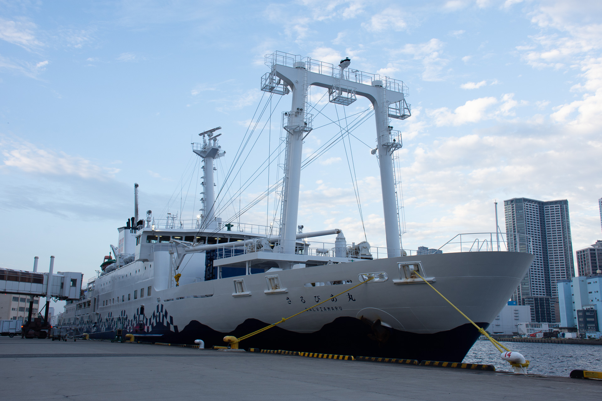 6000トン級の新造船「さるびあ丸」