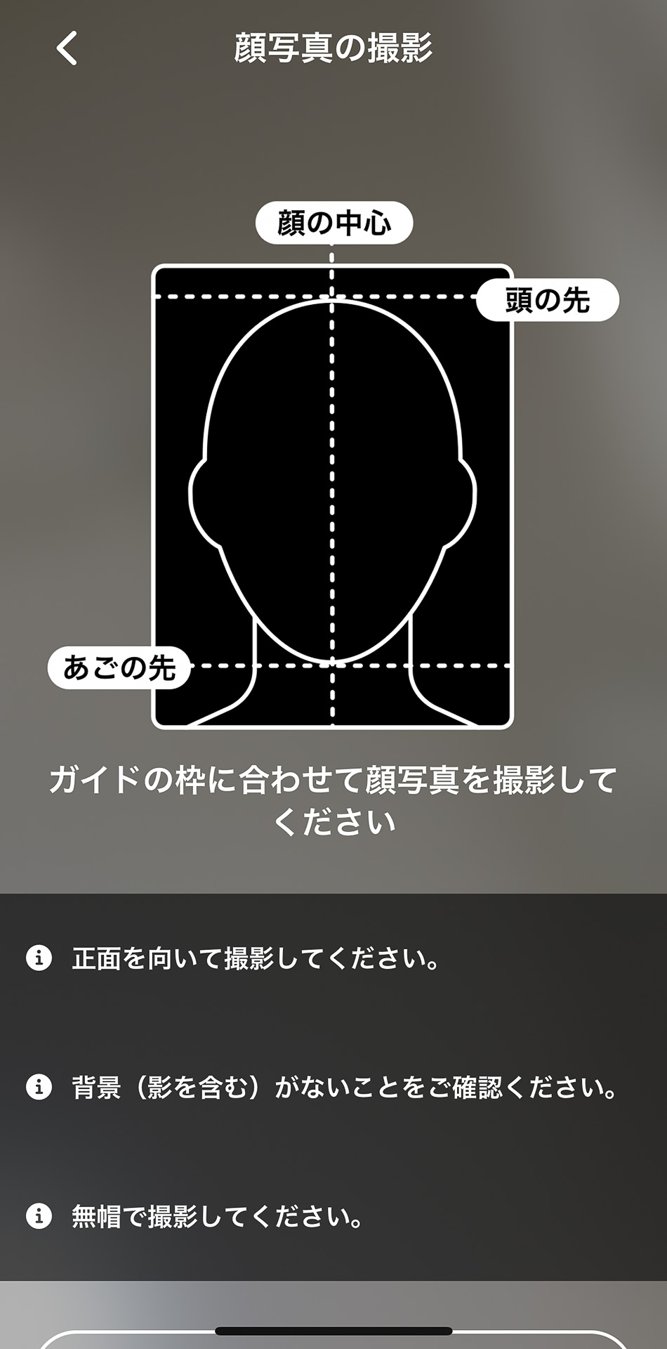 こんな感じの撮影画面が出る。テキトーに1枚撮って上げてみたところ……