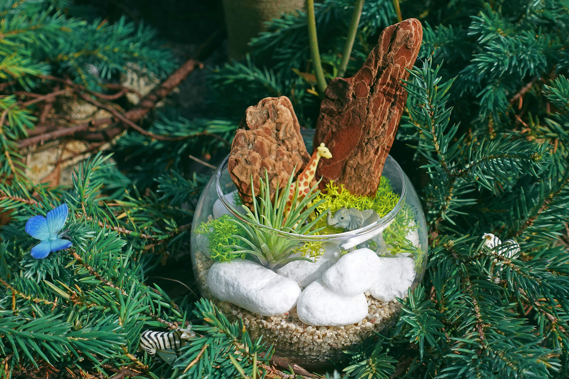 「レインフォレスト カフェ」の「グラスガーデン作り」