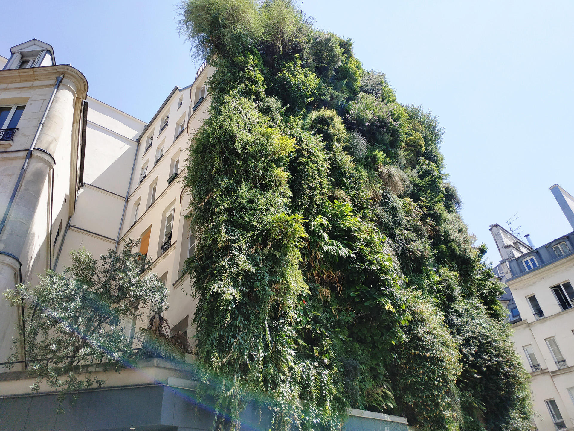 壁を緑化したアパート