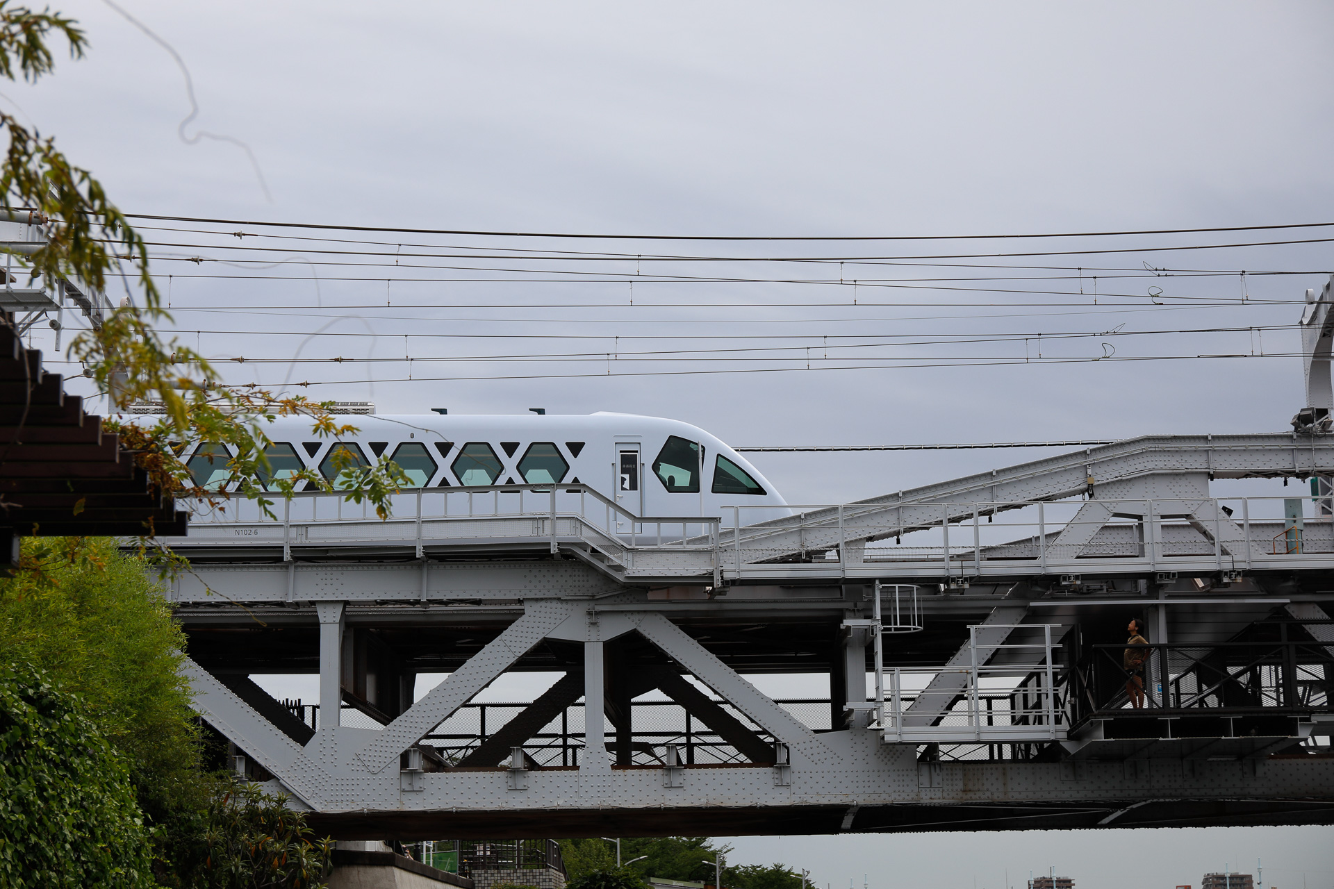 両先頭車の特徴である六角形の側窓を、隅田川橋梁のトラス構造と絡めてみた