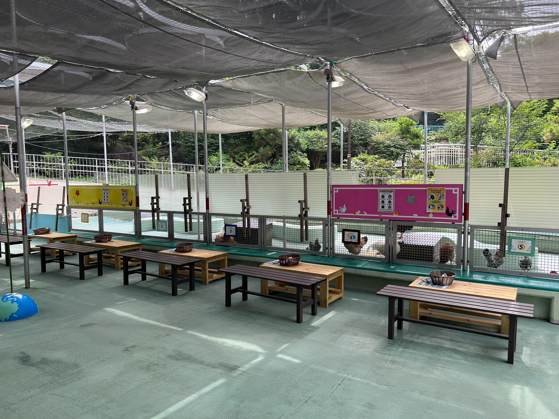 直に動物に触れ合えるなかよし広場