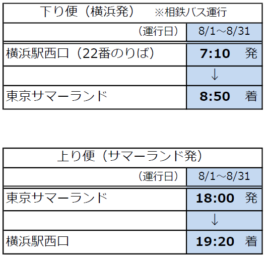 往復送料無料。サマーランド フリーパス 8月利用可 2枚セット 要返却 東京サマーランド 1Dayパス 8枚 株主優待 株主ご招待券 チケット