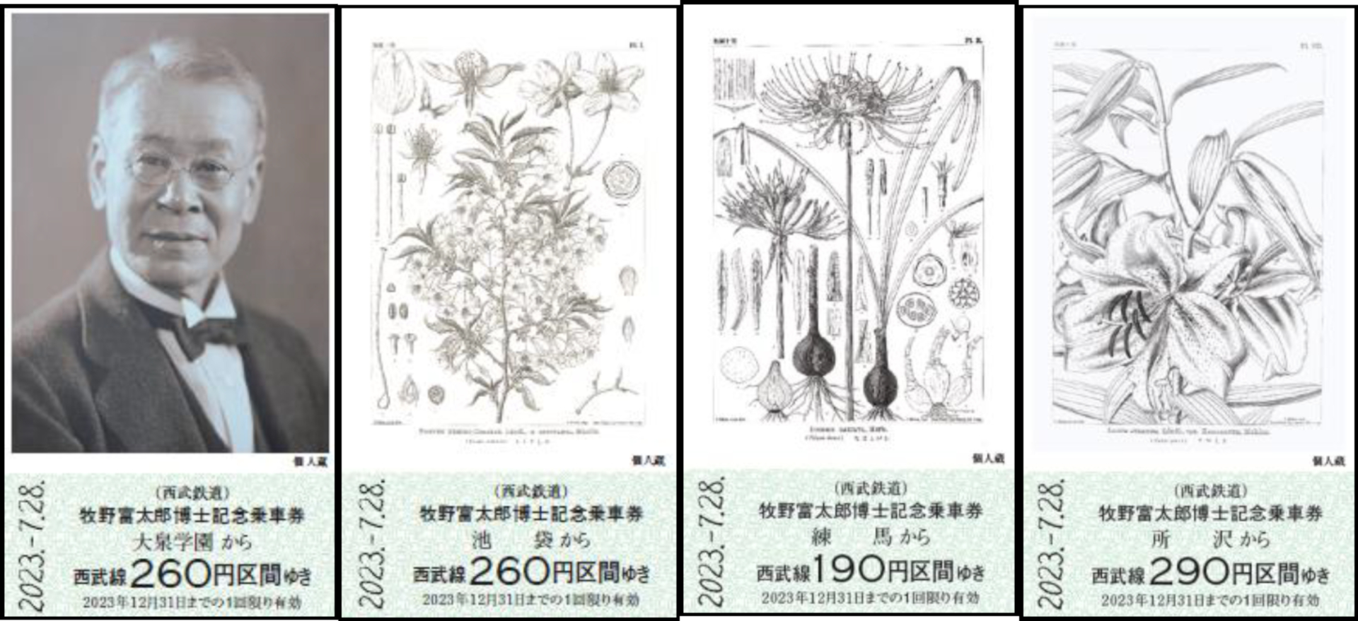 乗車券は牧野博士と博士が描いた植物画（やまざくら・ひがんばな・さくゆり）の計4種類