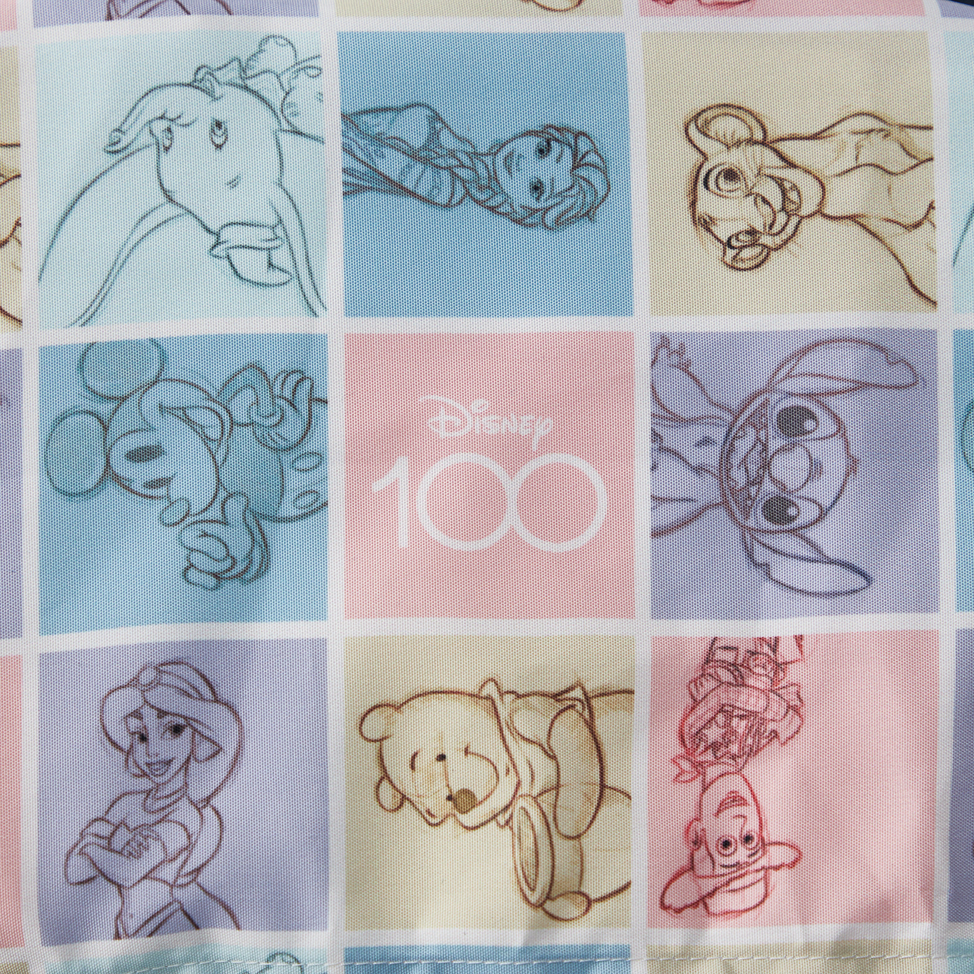 巾着部分には「Disney100」テーマの特別アート