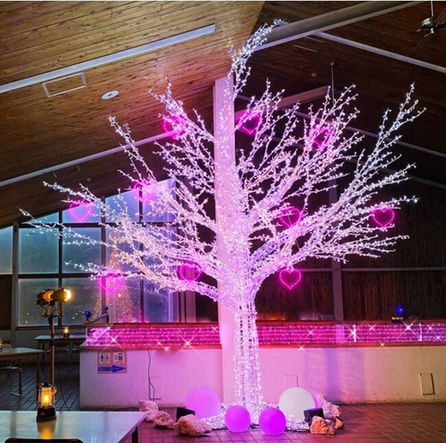 ウェルカムツリー