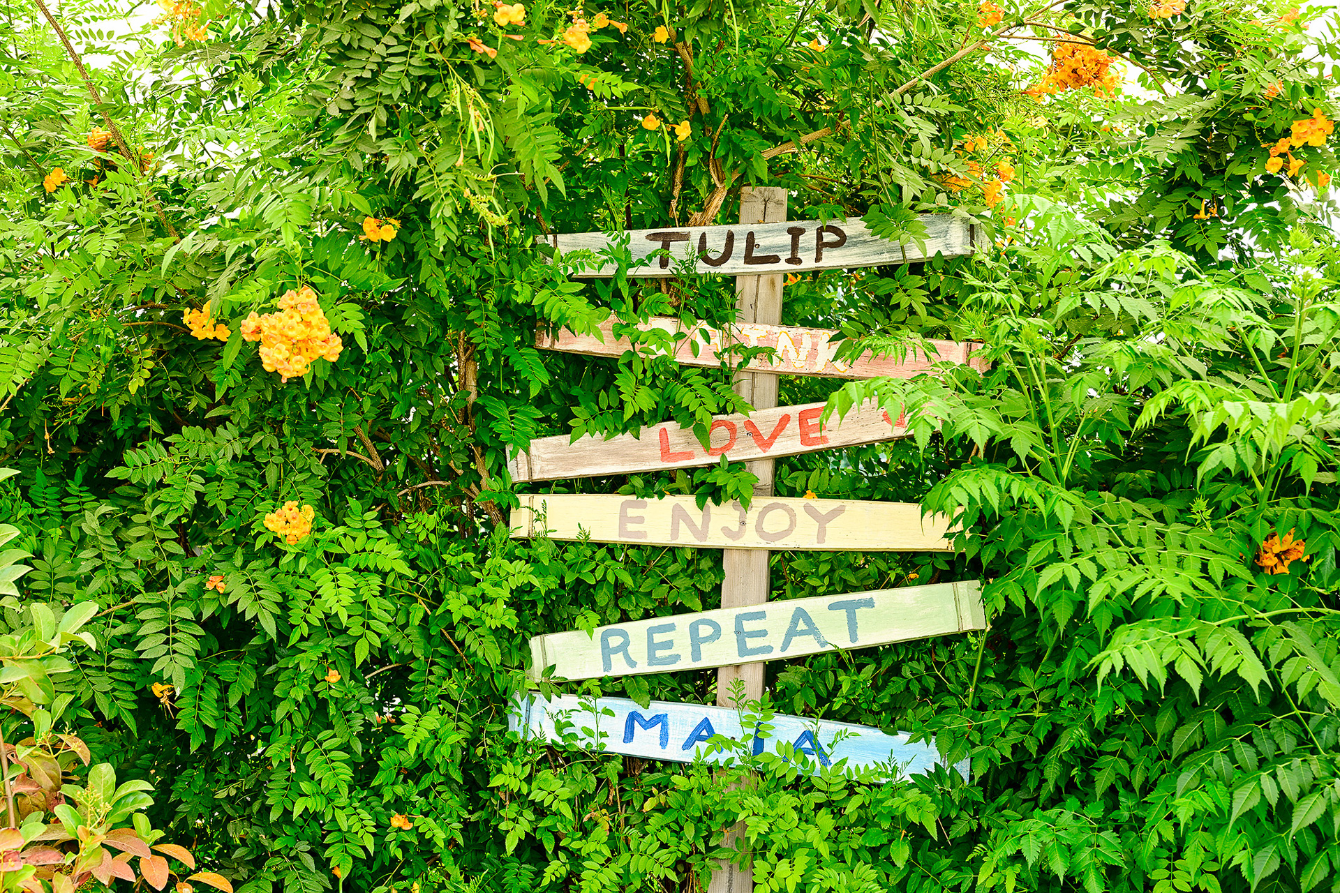 ワインについて深く知ることができるワークショップなども開かれている。アットホームな雰囲気で味わうワインの世界も素晴らしい