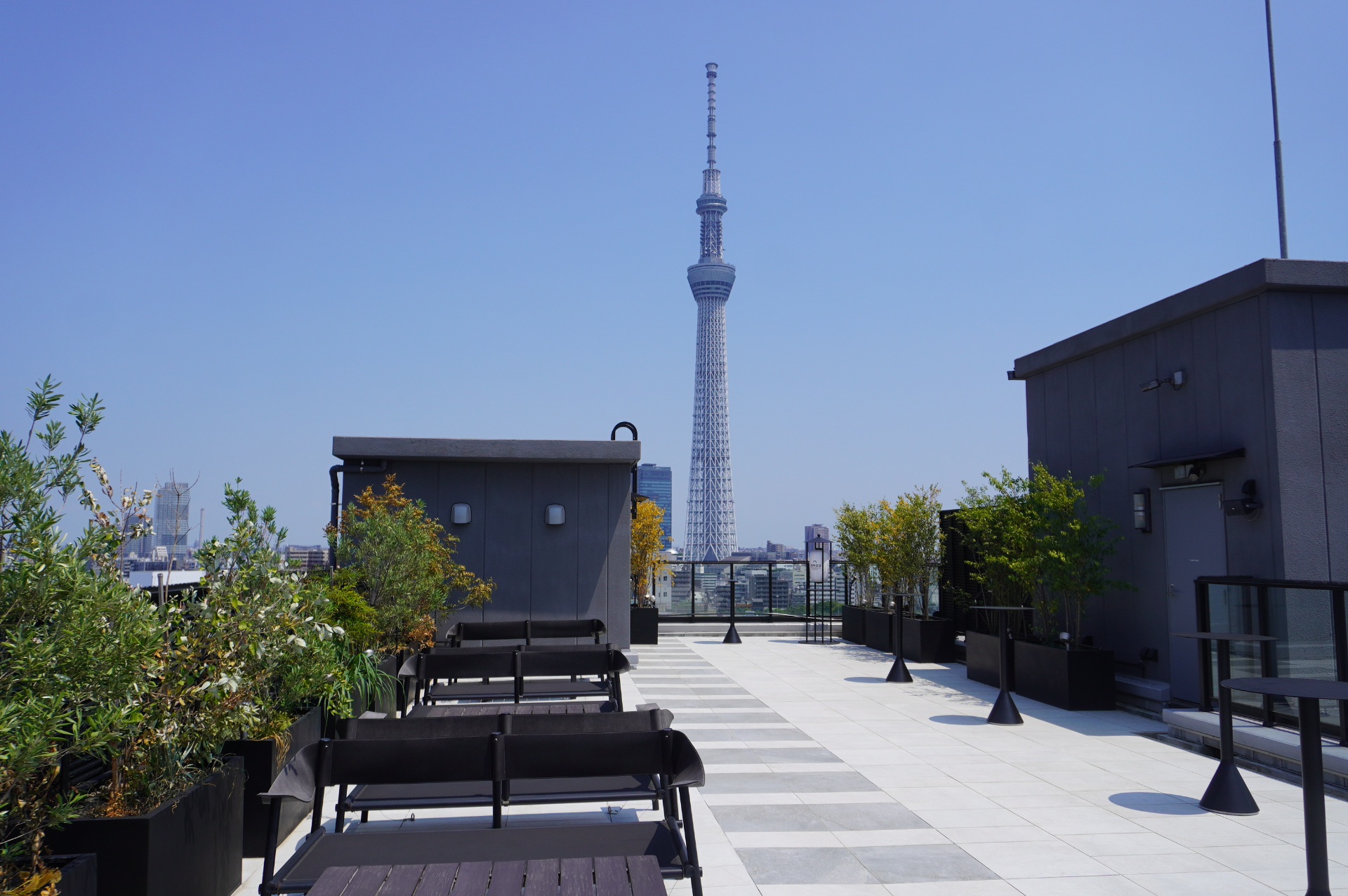 夜は東京スカイツリーの幻想的なライトアップも見どころ。ランタンを灯せばムードたっぷり