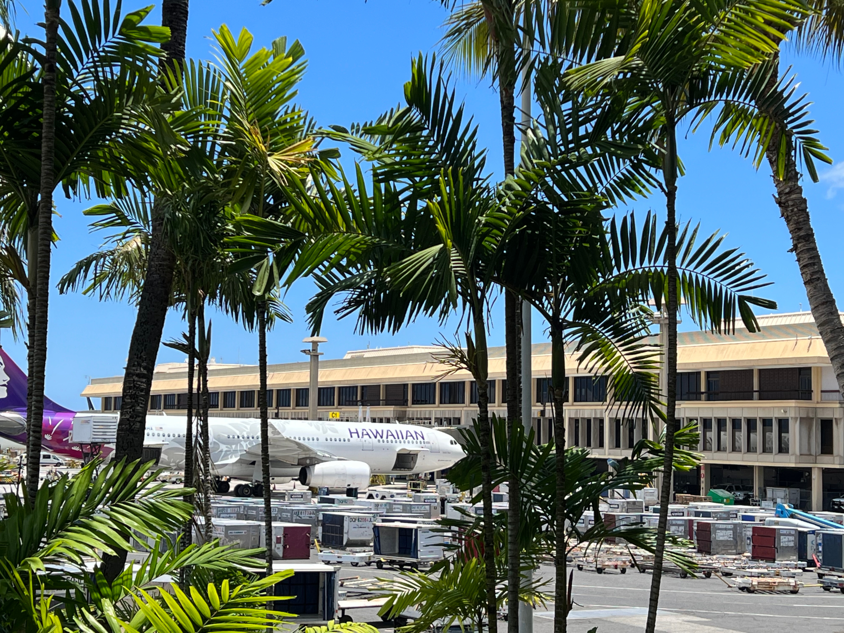 ハワイアン航空では今年4月末に福岡～ホノルル線を再開し、現在は日本路線で週平均21便を運航。今夏8月には週31便に増便も