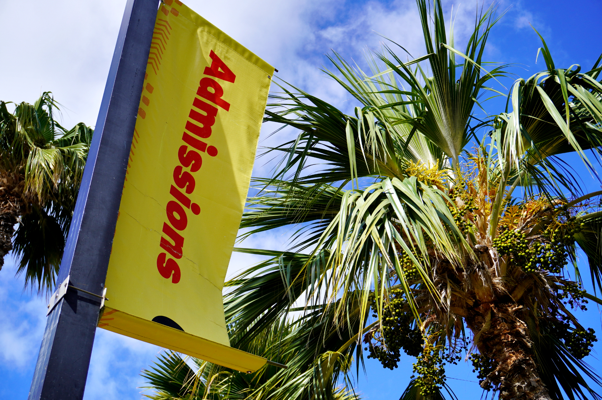 ハワイ州最大の博物館。1795年から約100年続いたハワイ王国の歴史、ポリネシア文化、太平洋の自然科学などを学べる