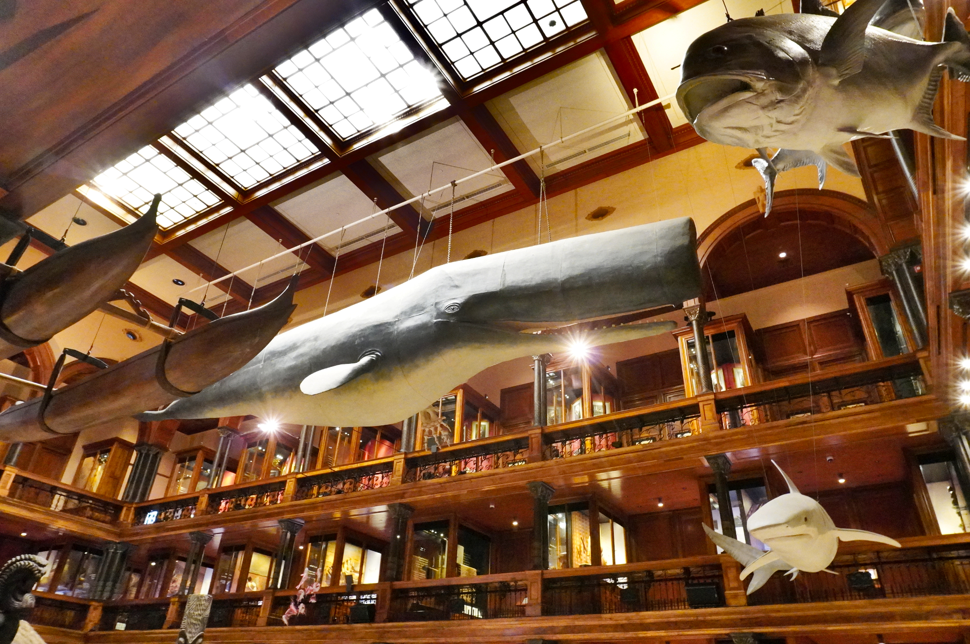 ハワイ州最大の博物館。1795年から約100年続いたハワイ王国の歴史、ポリネシア文化、太平洋の自然科学などを学べる