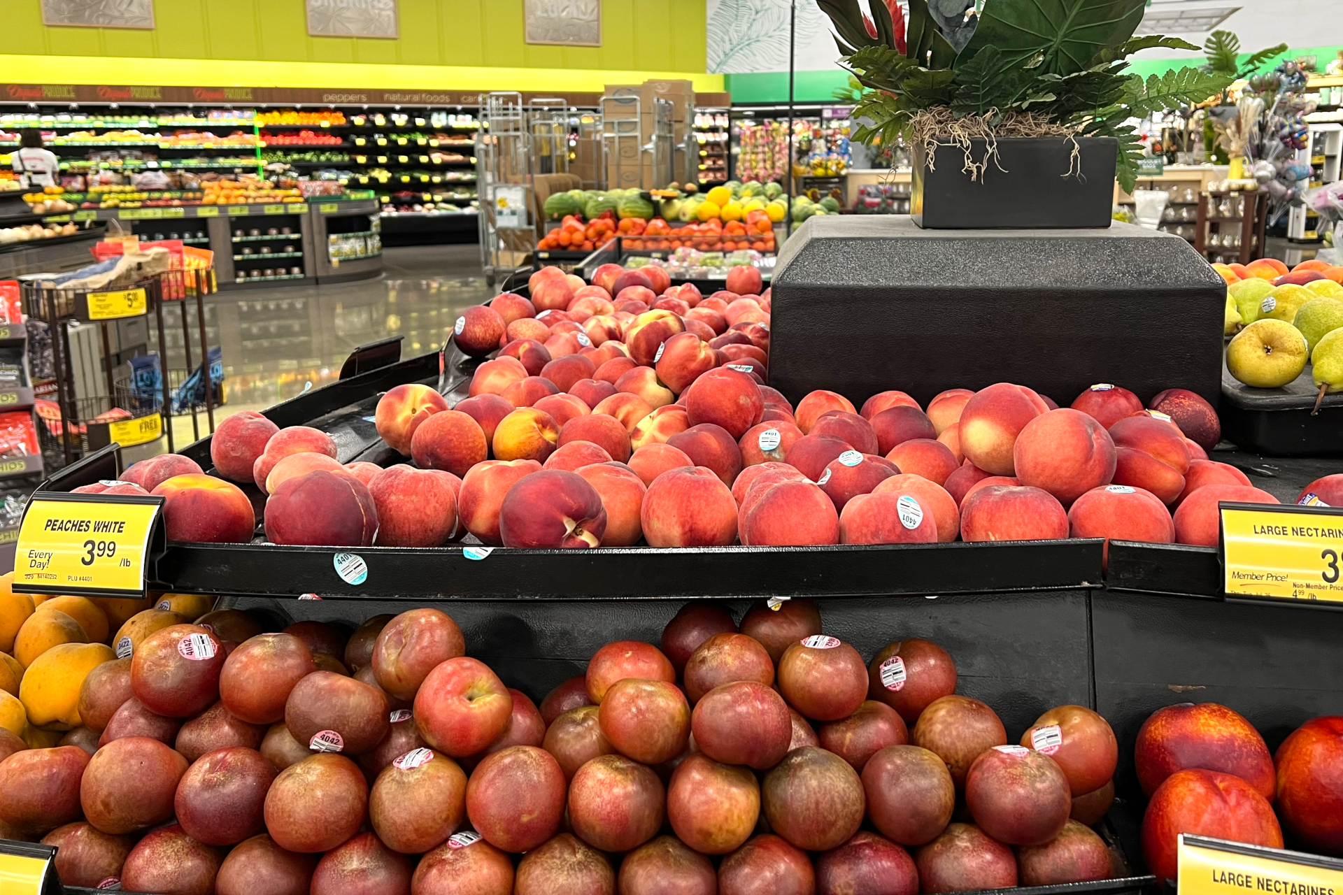 バスに乗って少し遠くの大型スーパーへ。物価の違いを比べてみたり、ローカルフードを探してみるのも面白い