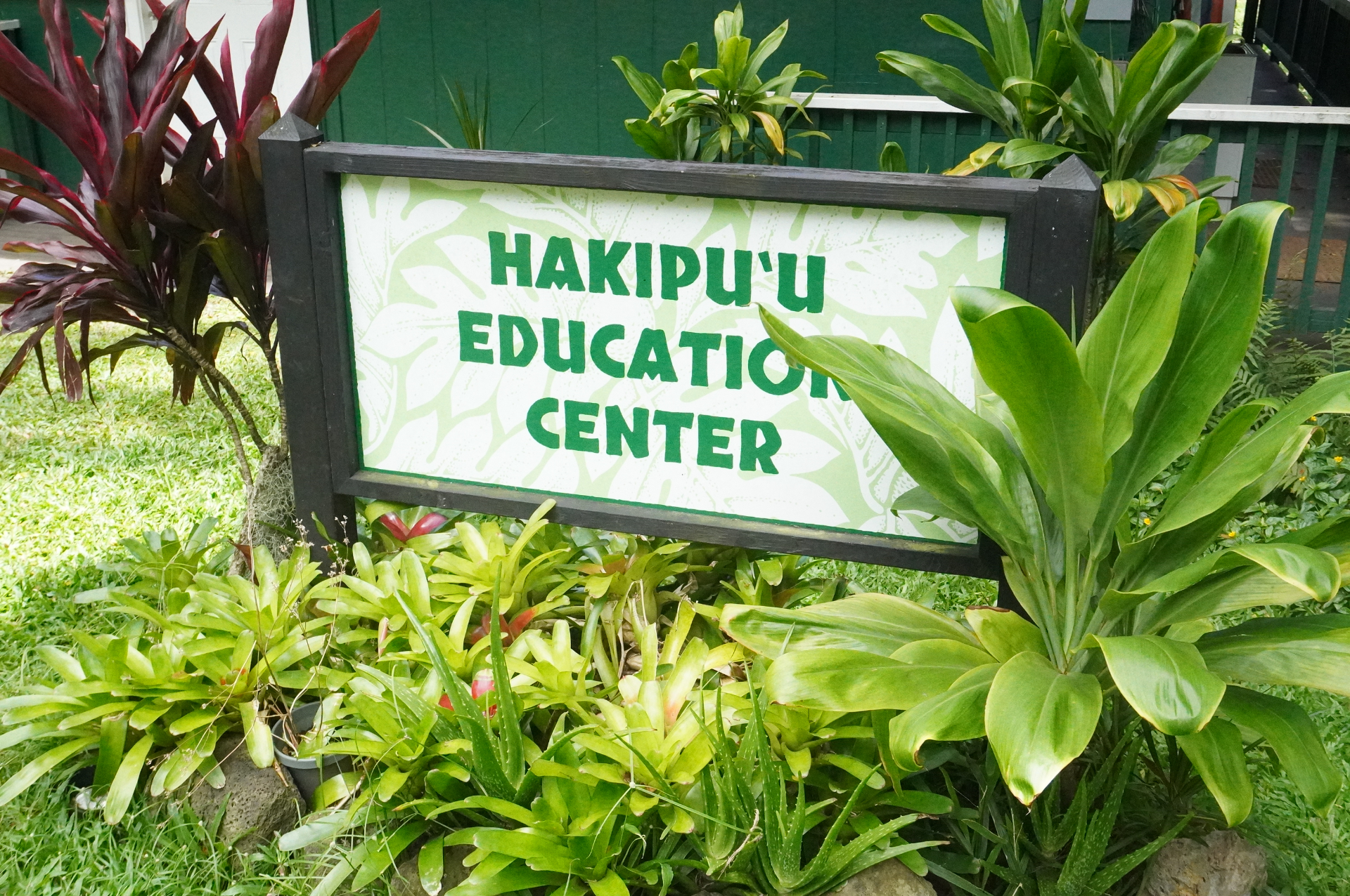 オアフ島北東に位置する4000エーカーの広大な農牧場。乗馬やジャングル探検、タロイモ畑の農業体験、映画ロケ地ツアーなど、さまざまなアクティビティを展開