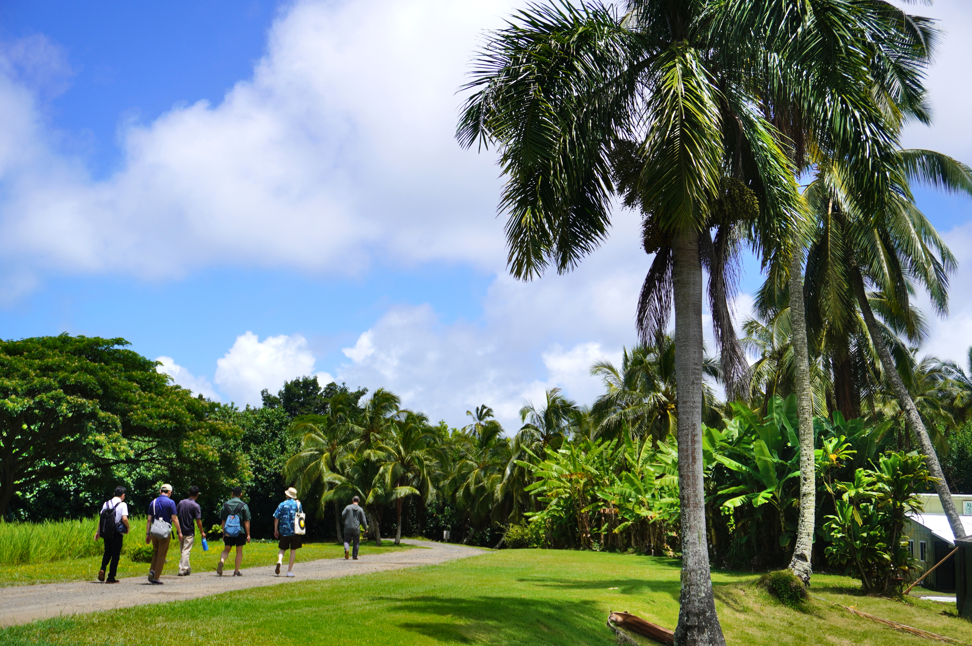 オアフ島北東に位置する4000エーカーの広大な農牧場。乗馬やジャングル探検、タロイモ畑の農業体験、映画ロケ地ツアーなど、さまざまなアクティビティを展開
