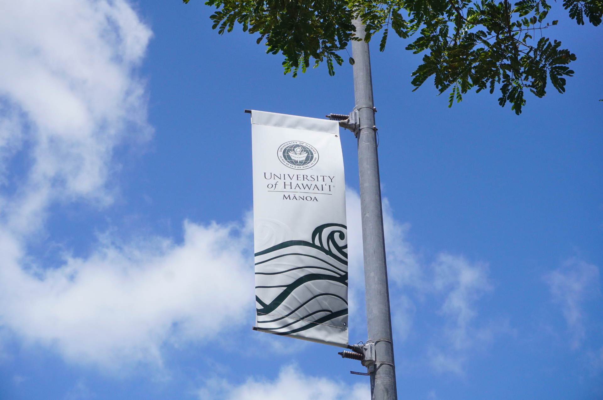 ハワイ大学マノア校