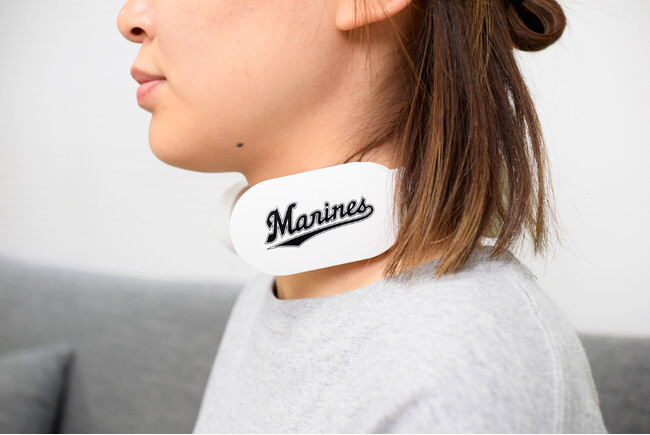 千葉ロッテマリーンズ