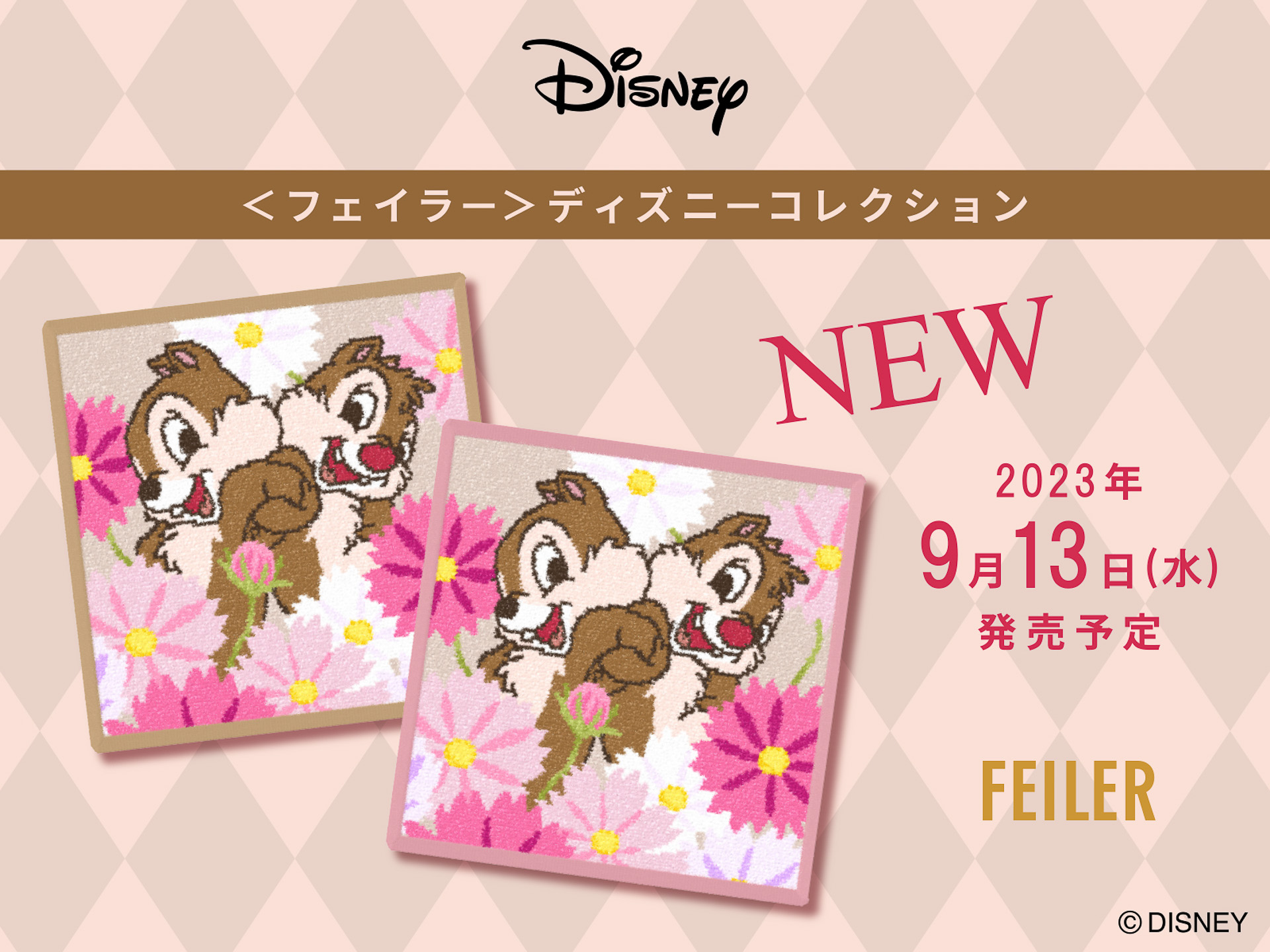 コスモスとチップとデールが描かれた1枚