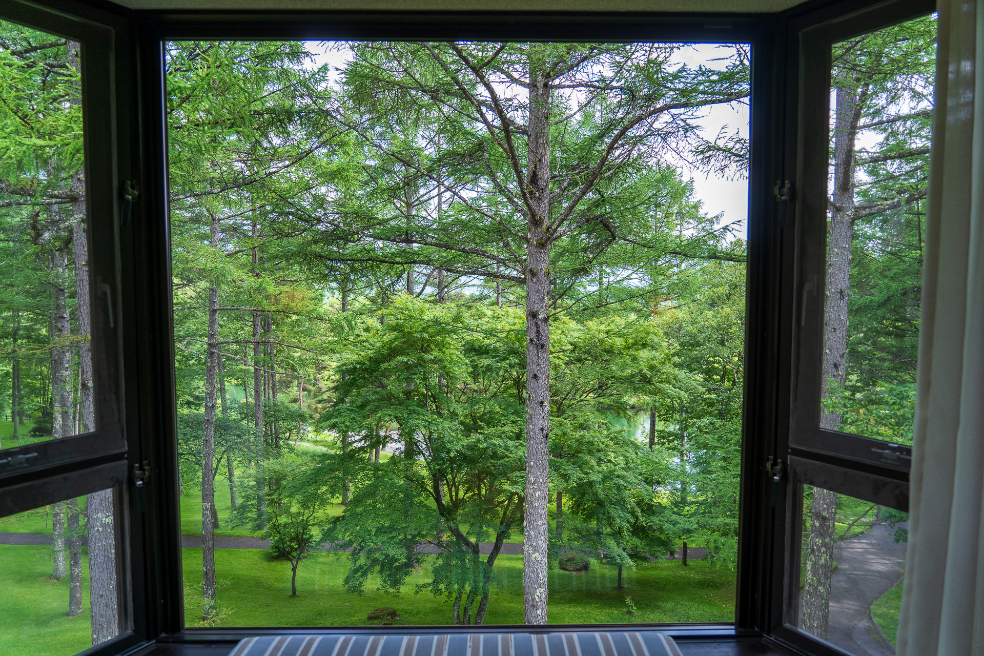 窓枠が額縁みたい