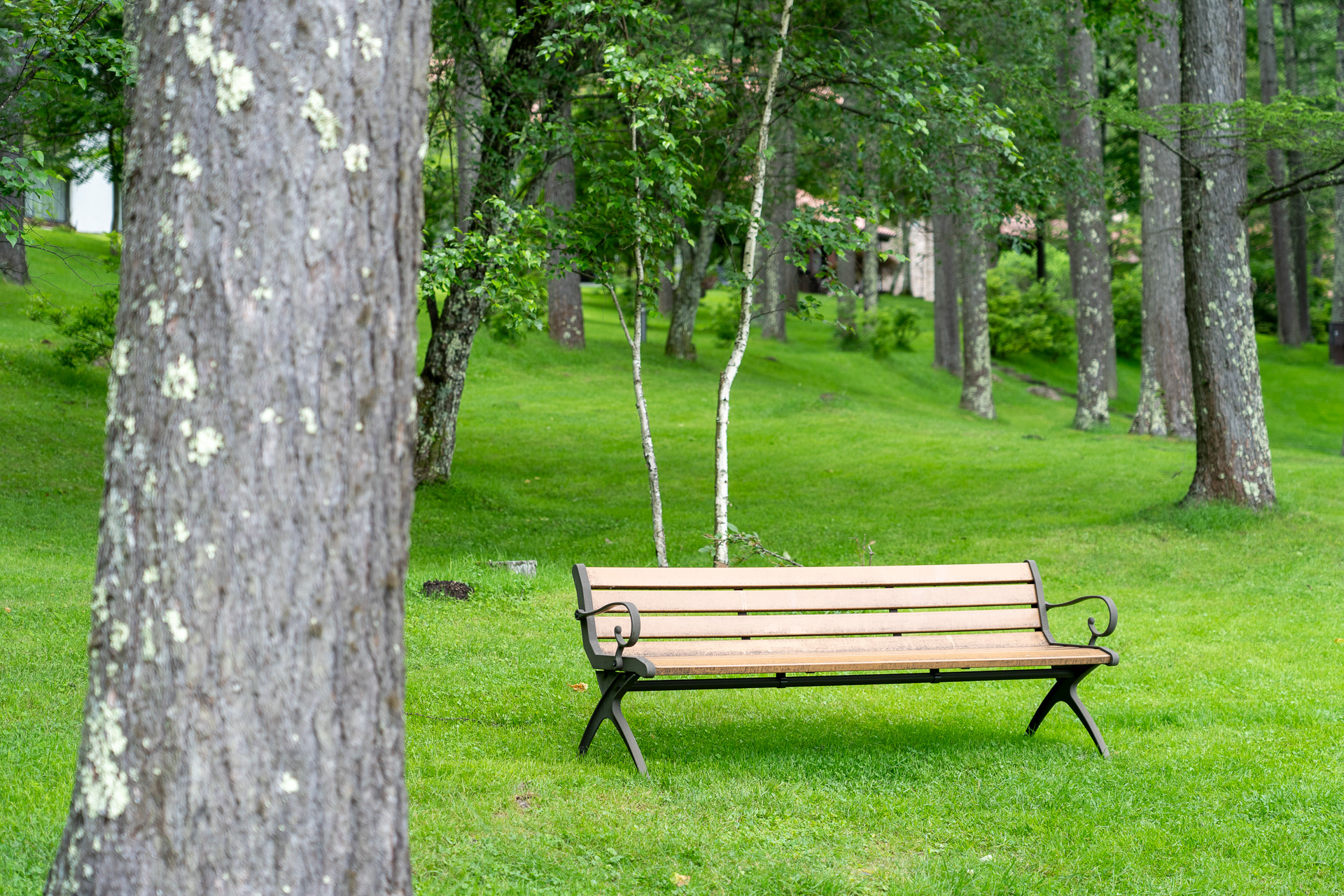 ところどころにベンチも