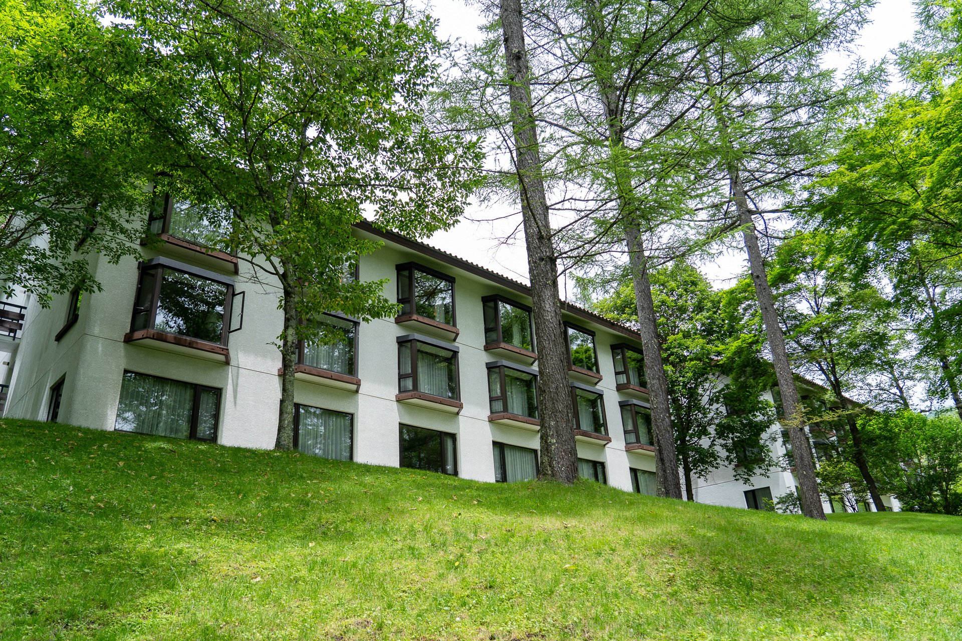 見上げたこちらが宿泊棟