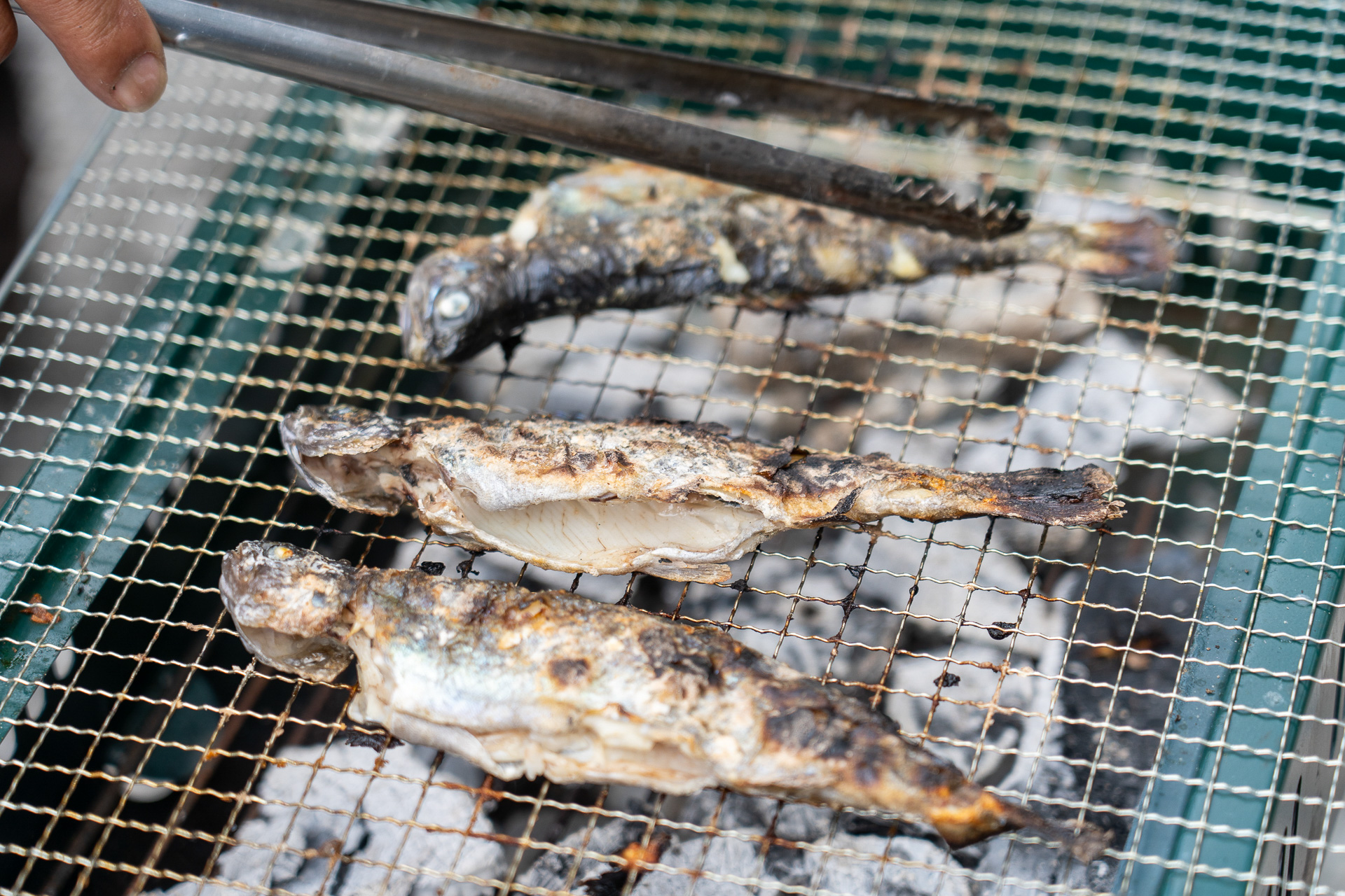 やっぱり塩焼きが美味しい