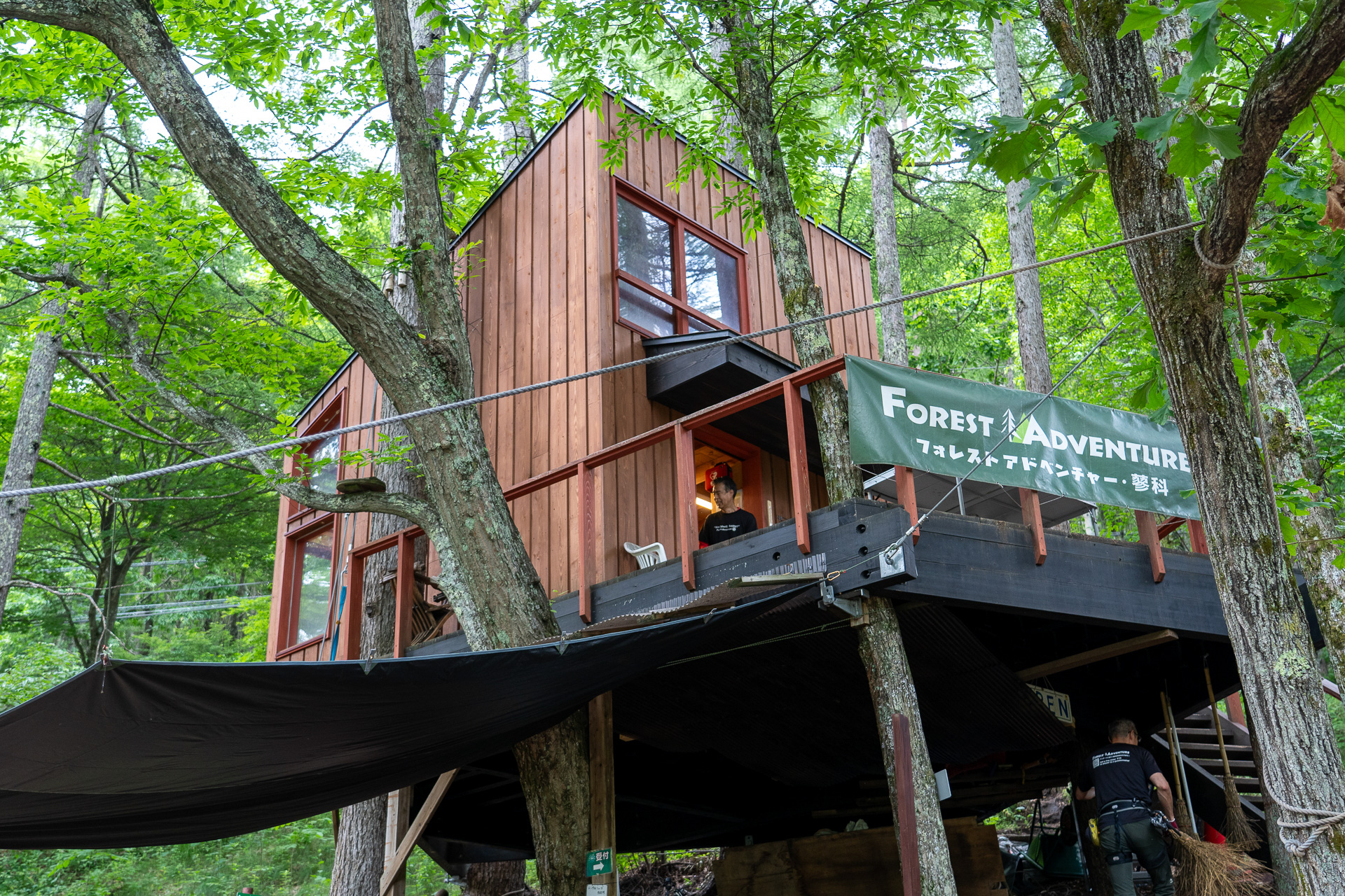 最初にハーネスの使い方などの安全講習を受けたら、あとは自分で樹の上にのぼって、渡って、滑り降ります