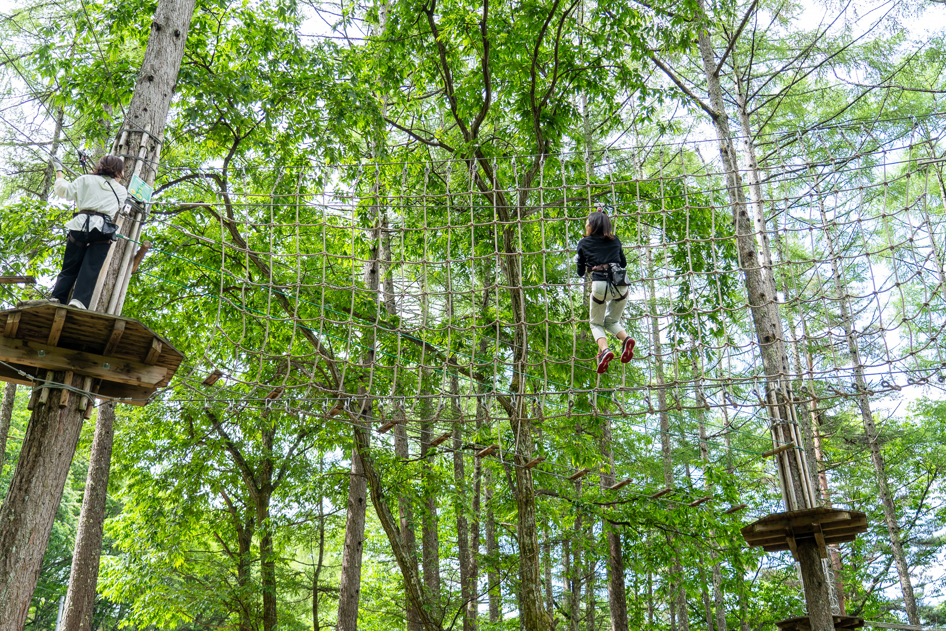最初にハーネスの使い方などの安全講習を受けたら、あとは自分で樹の上にのぼって、渡って、滑り降ります