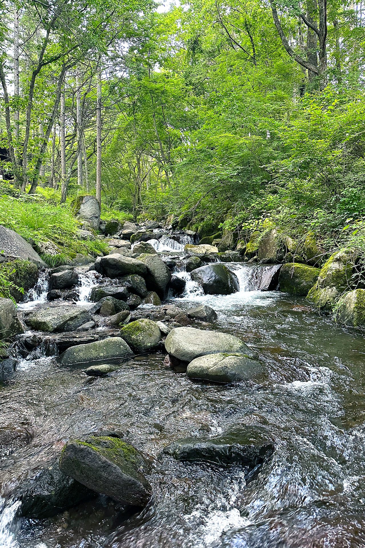 この渓流でクールダウン！　敷地内を流れている本物の川です