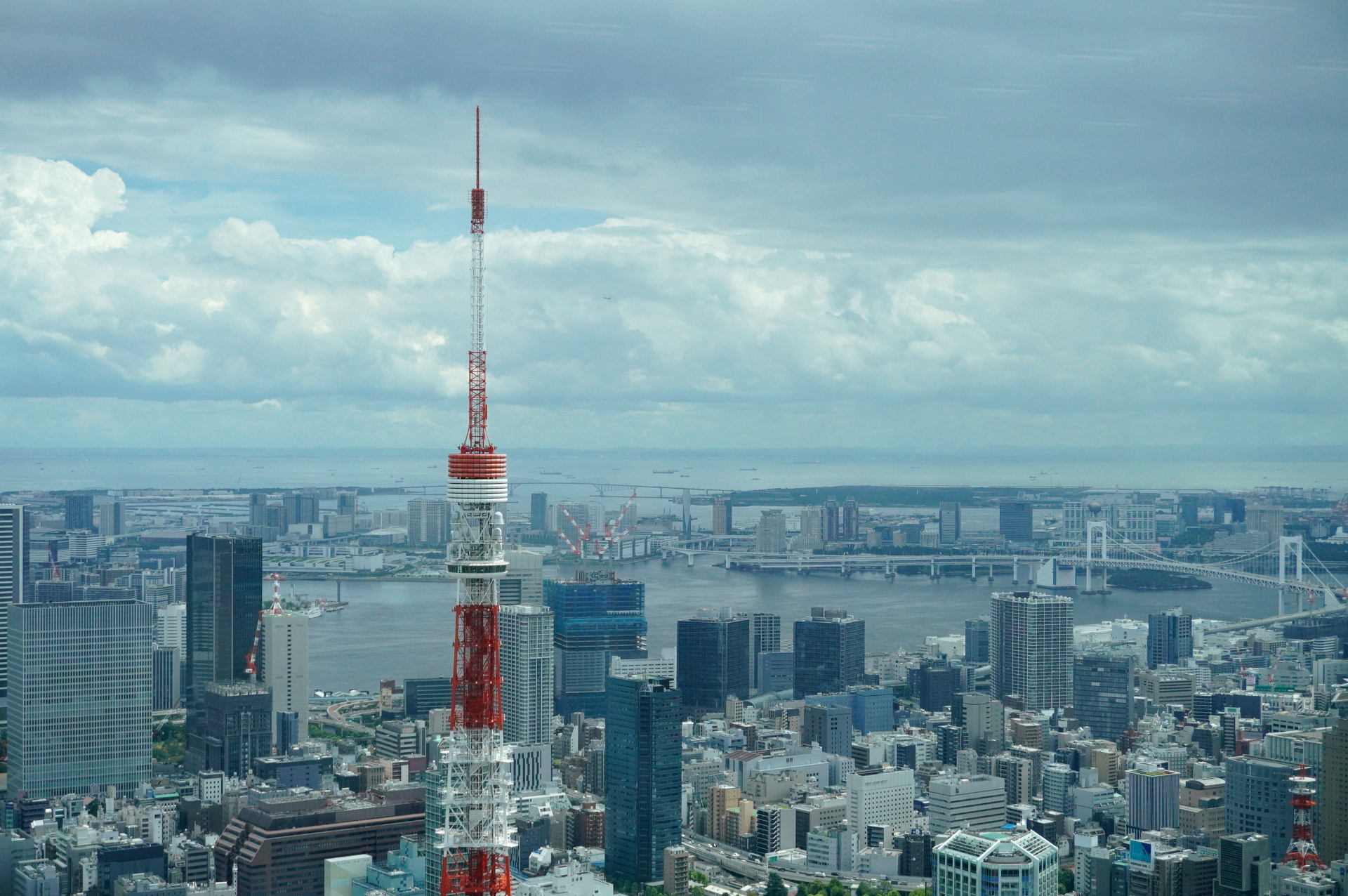 お台場や東京湾を望む