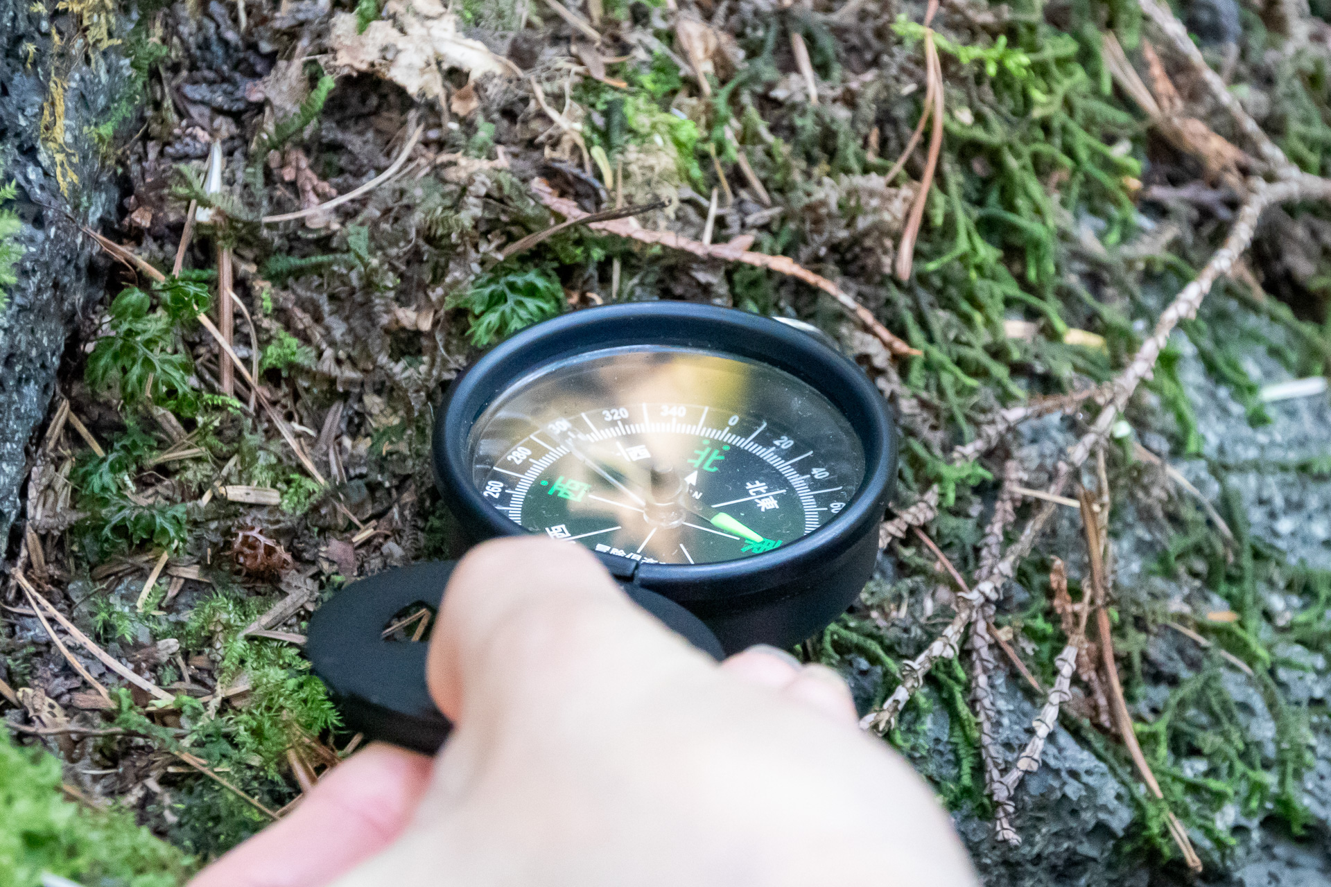 コンパスを持っていたら実験してみるのも楽しい