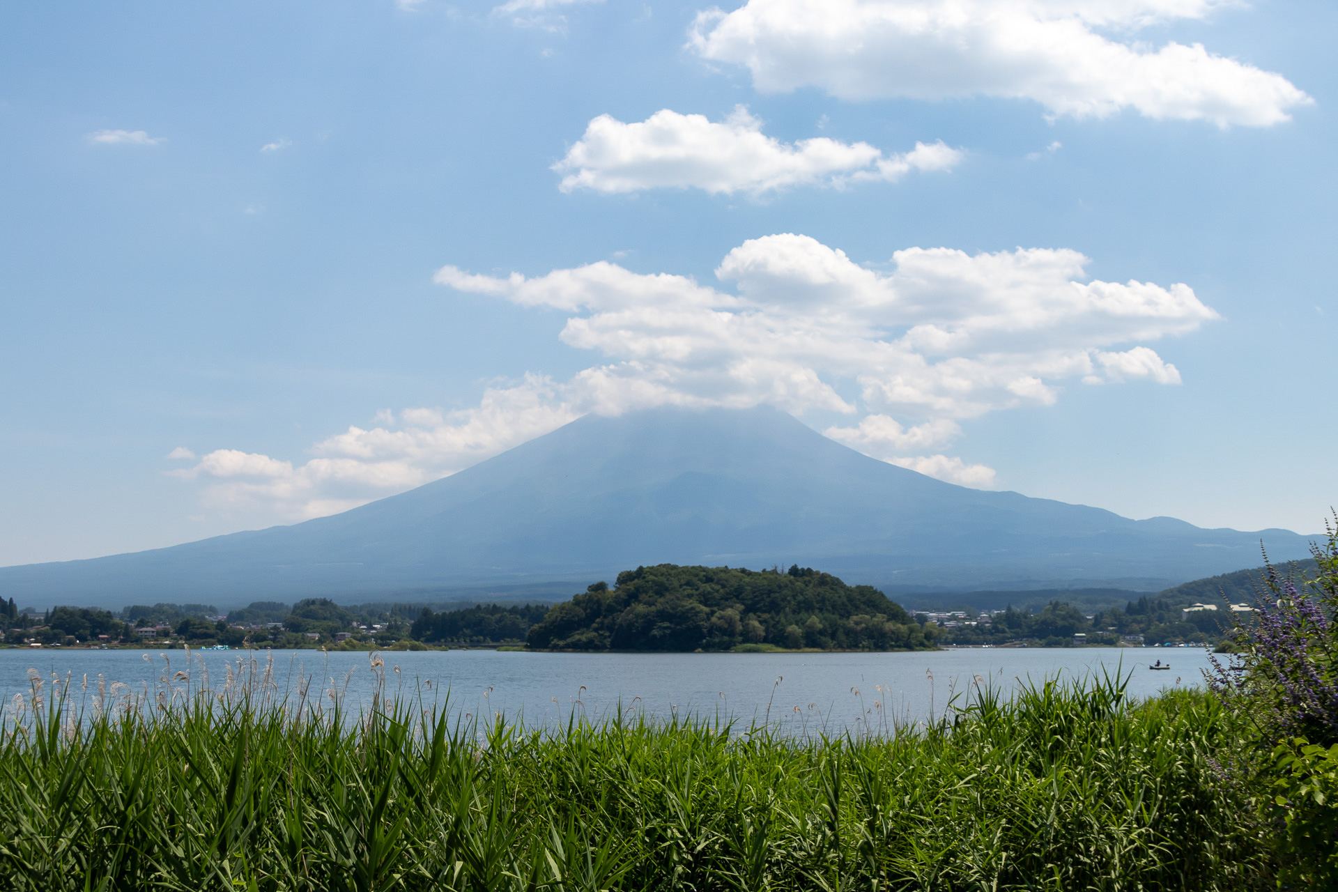 生い茂るアシを入れて夏らしい富士山も撮れる