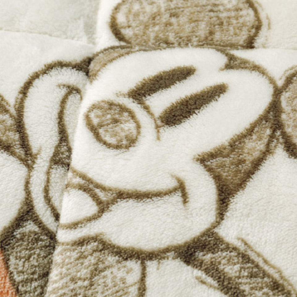 【レア】ディノス ヒートループ ディズニー創立100周年記念デザイン ケット レア】ディノス ヒートループ ディズニー創立100周年記念デザイン