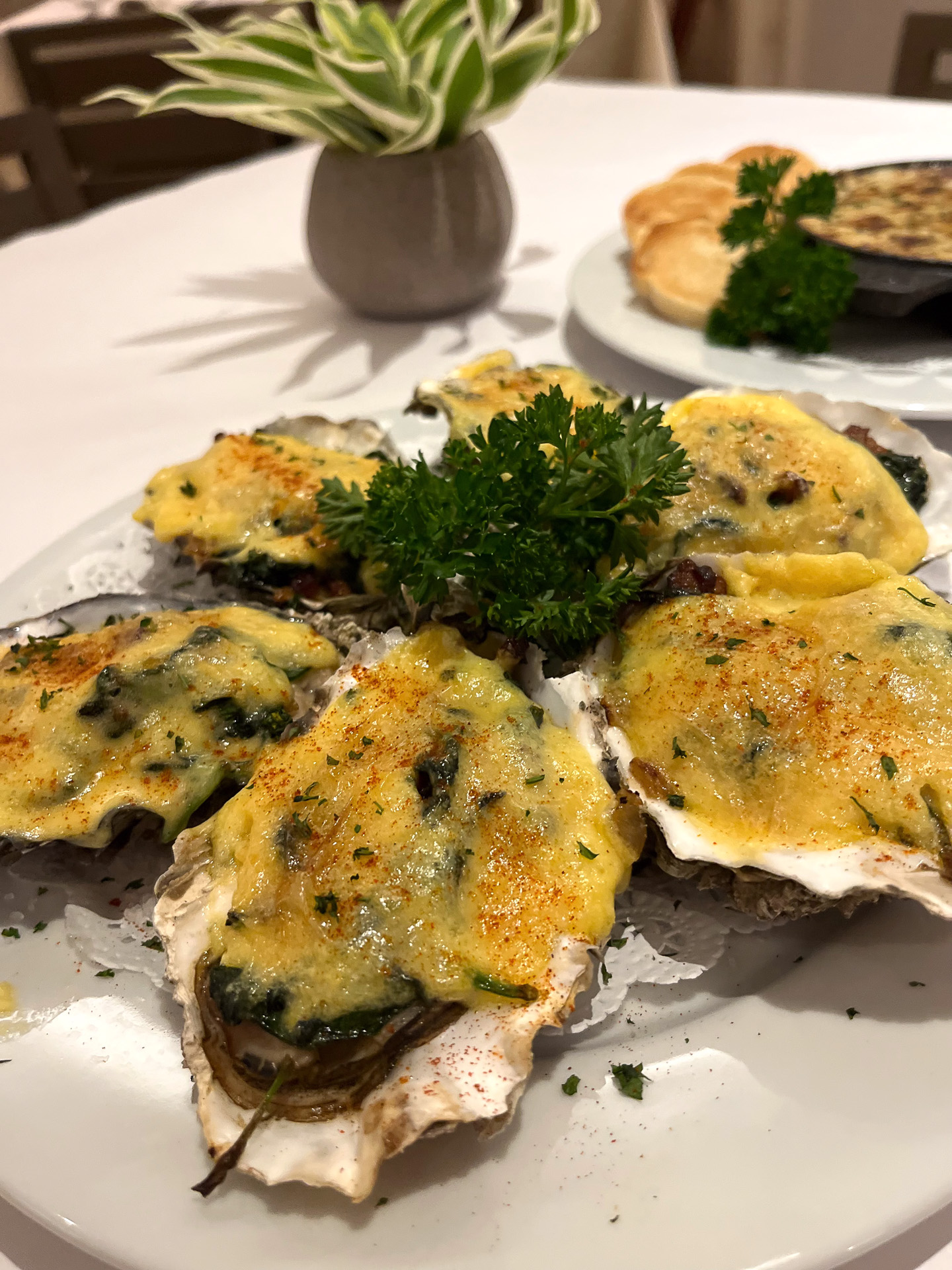 大きくて肉厚、プリプリのオイスターも自慢