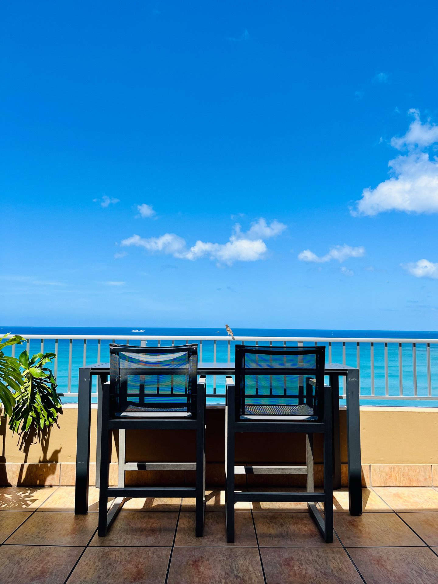 こんな席で朝ごはんを食べることができる