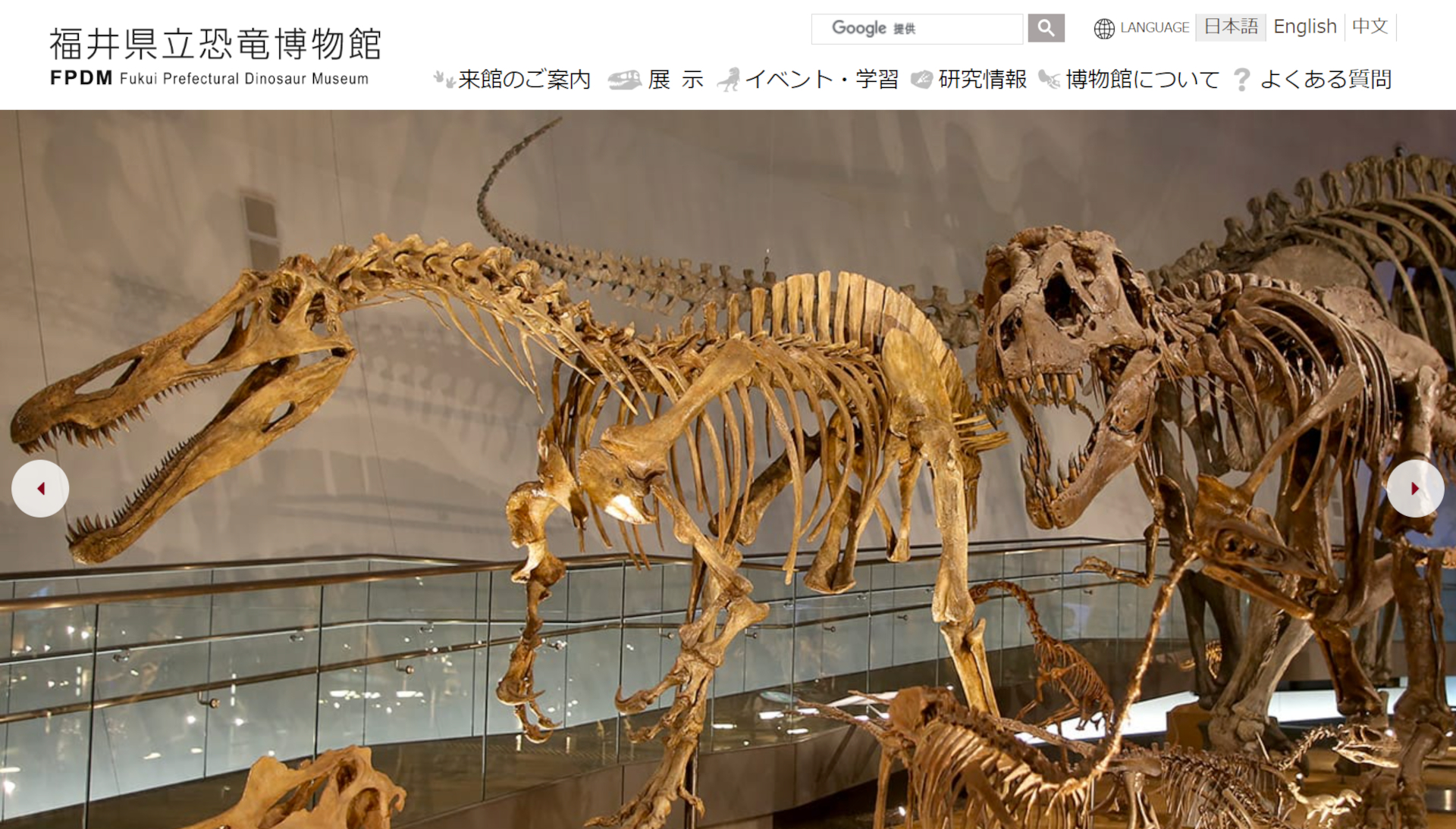 福井県立恐竜博物館 公式サイト
