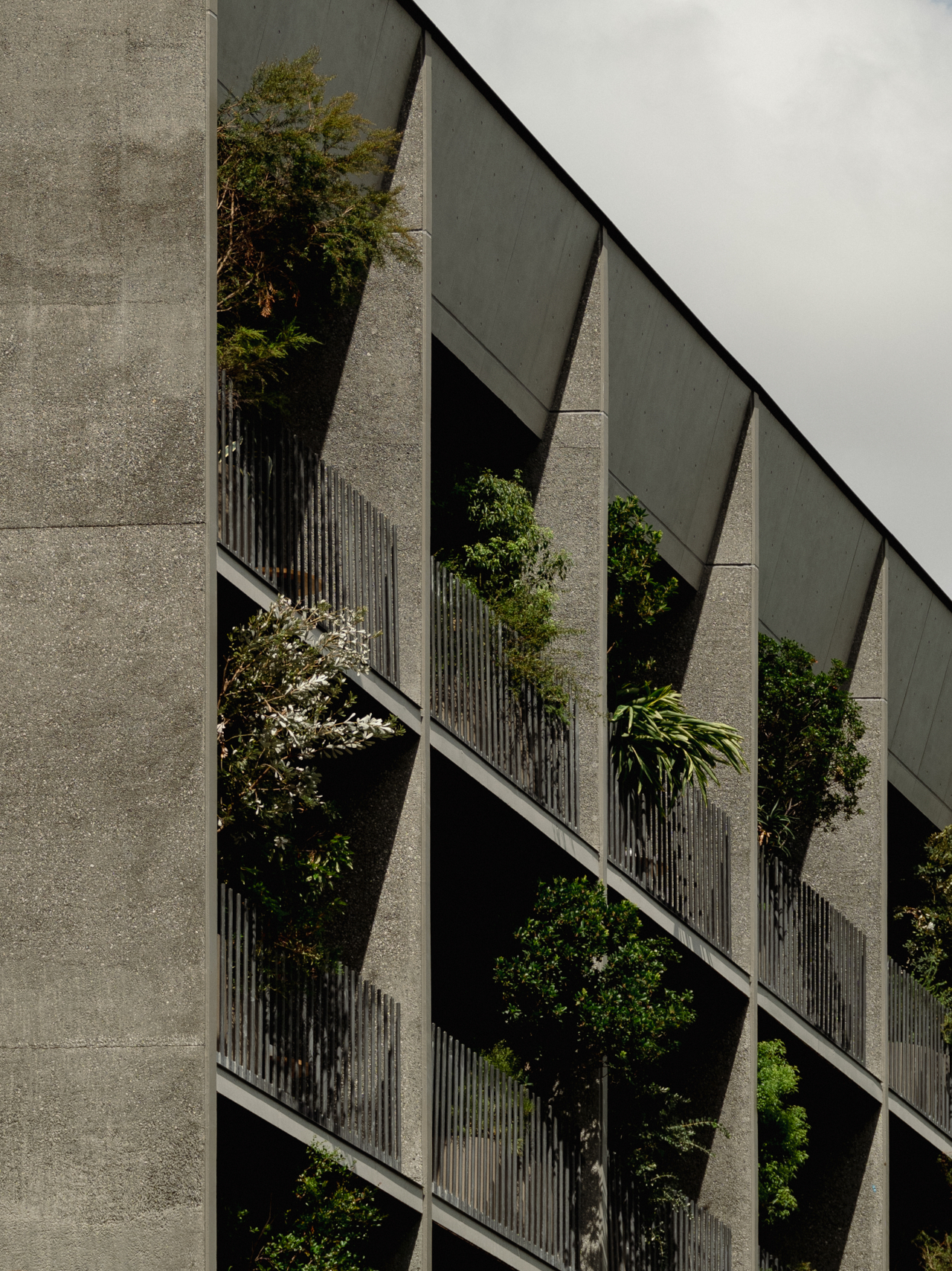 全室バルコニー付き（Photo by Tomooki Kengaku）