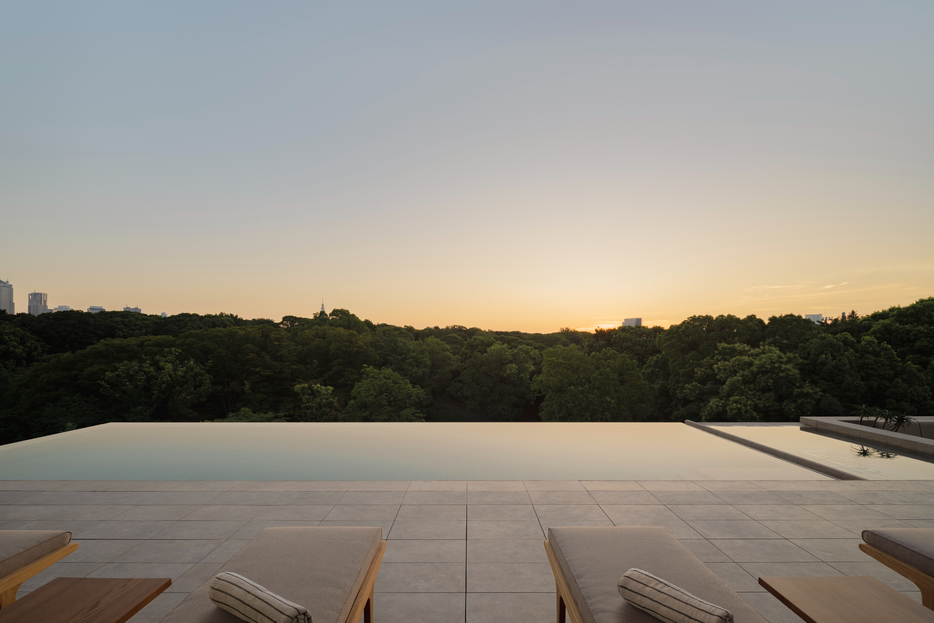 代々木公園を望むルーフトッププール（Photo by Tomooki Kengaku）
