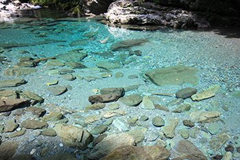 仁淀川（高知県）