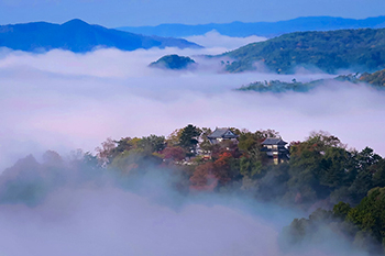 備中松山城（岡山県）