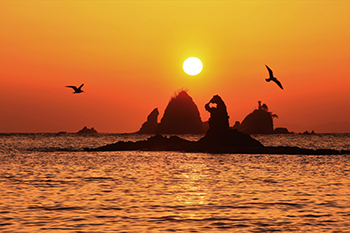 大田子海岸（静岡県）