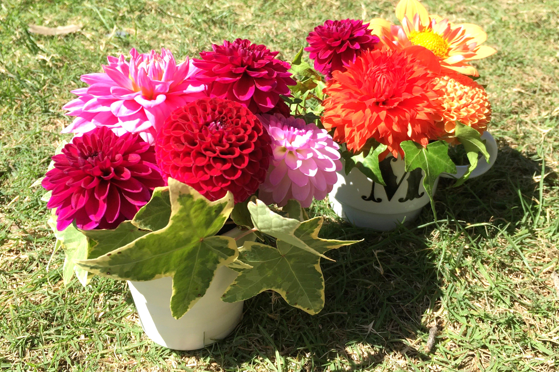 フローリストのサウザー愛子氏によるアレンジメントを販売。自分だけのオリジナルも作れる