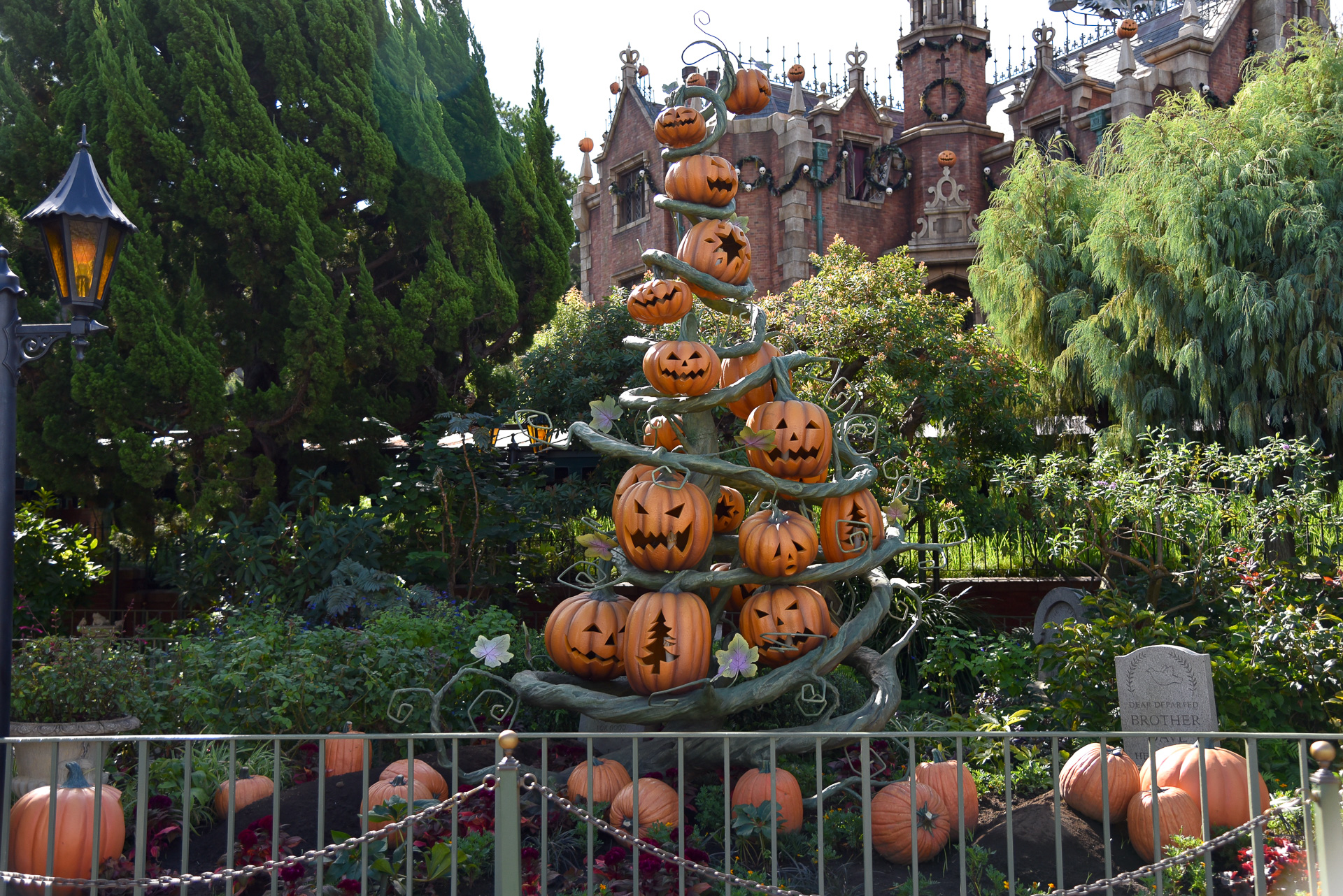 パンプキン×クリスマスのツリーも登場しています