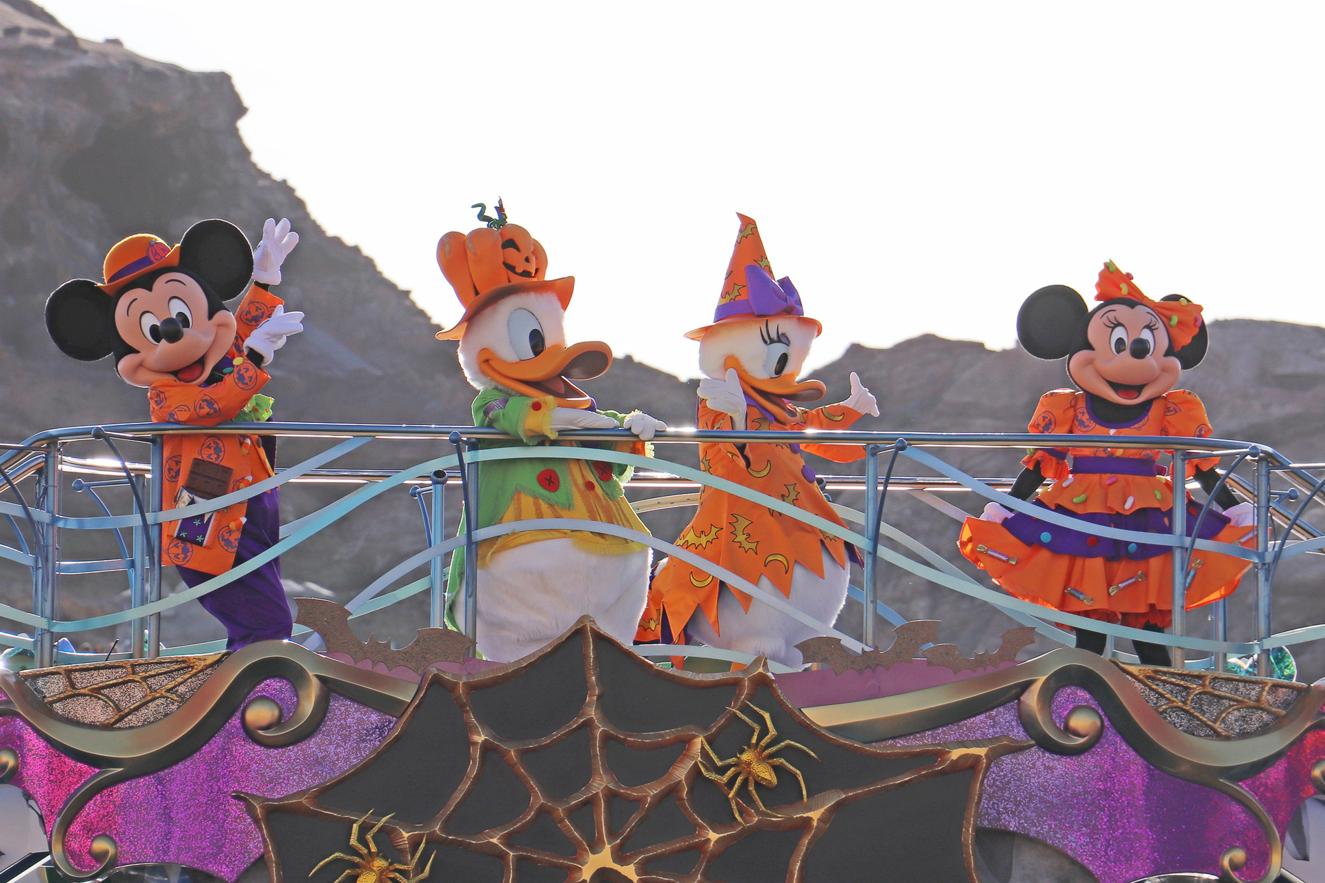 いつものミッキーマウスとミニーマウスのお株を奪う、ドナルドダックとデイジーダックの仲のよさ！